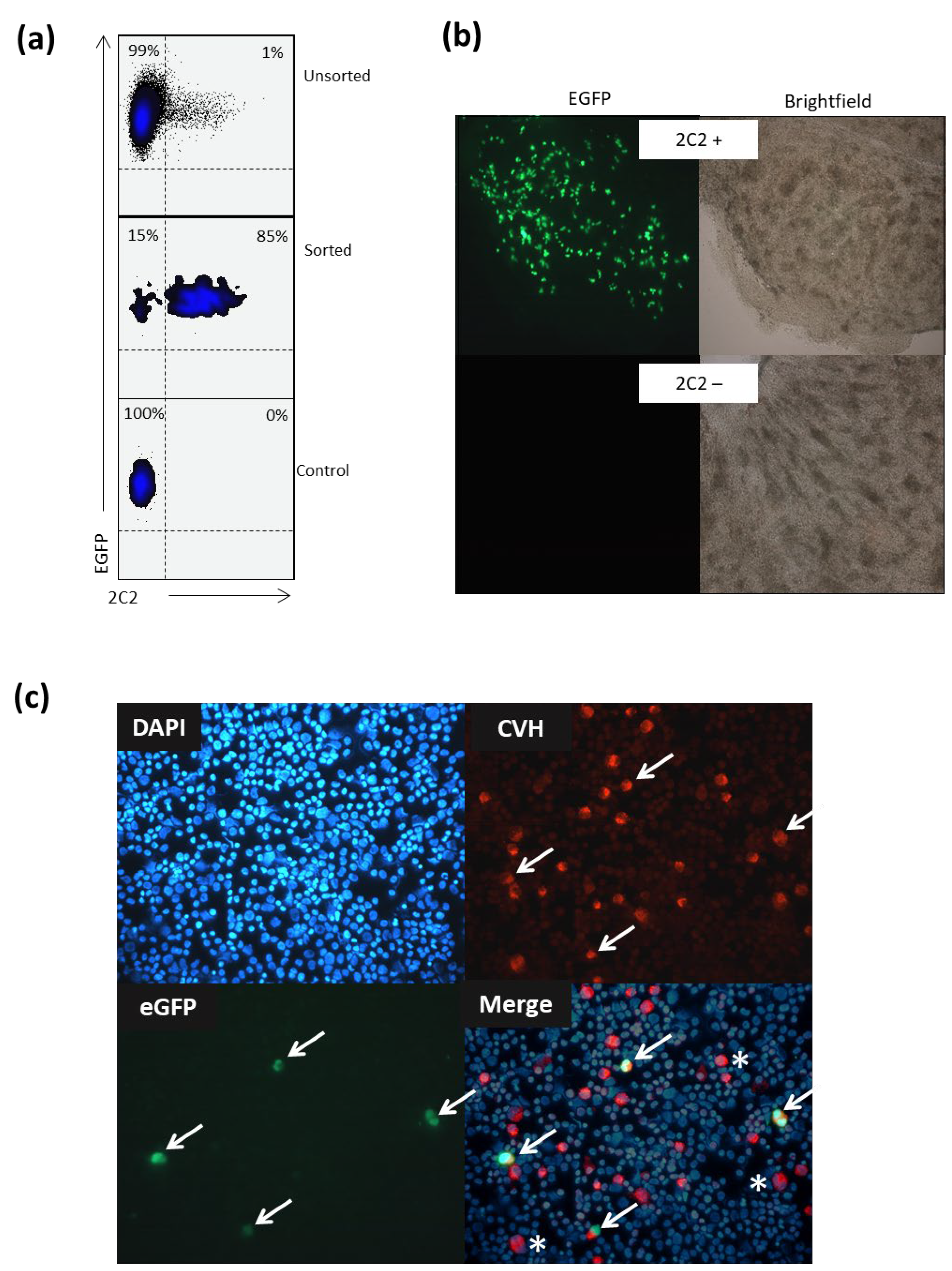 Animals 15 01868 g003