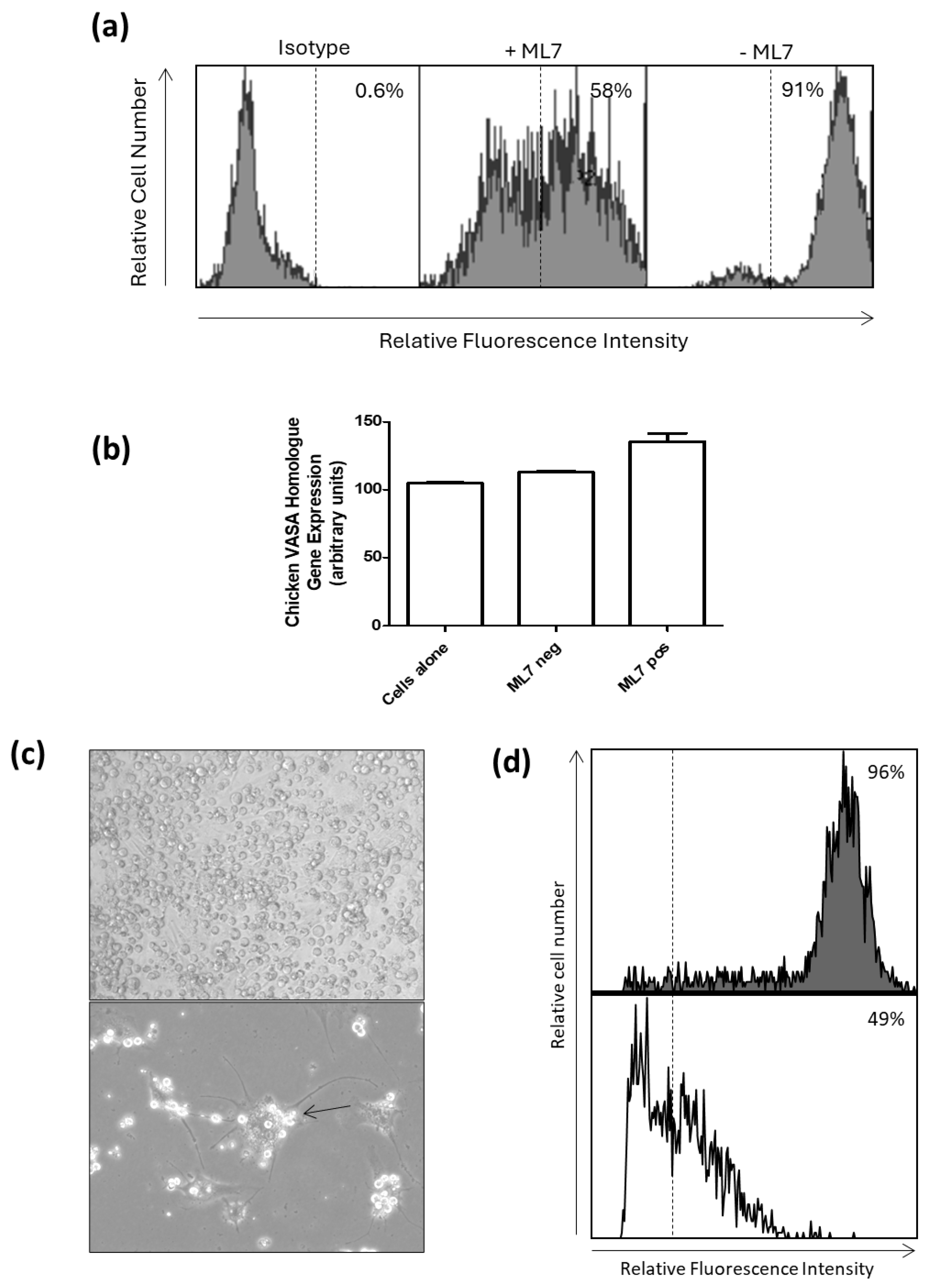 Animals 15 01868 g005