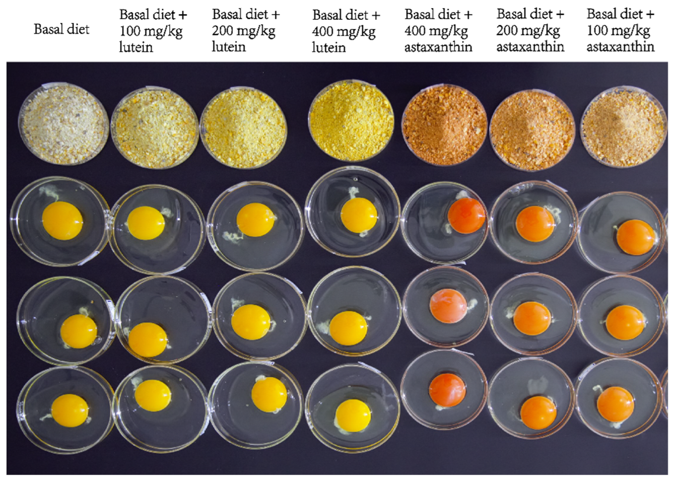 Animals 15 01869 g001