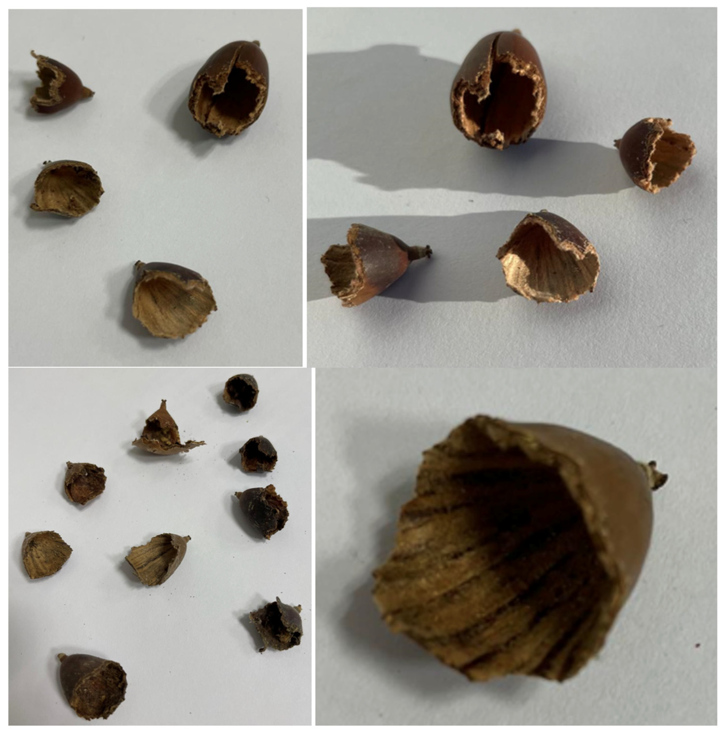 Animals 15 01874 g003