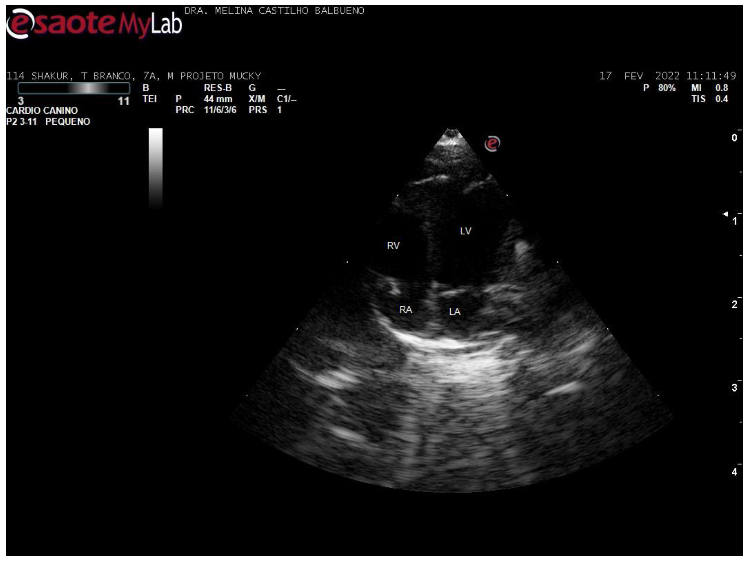 Animals 15 01875 g003