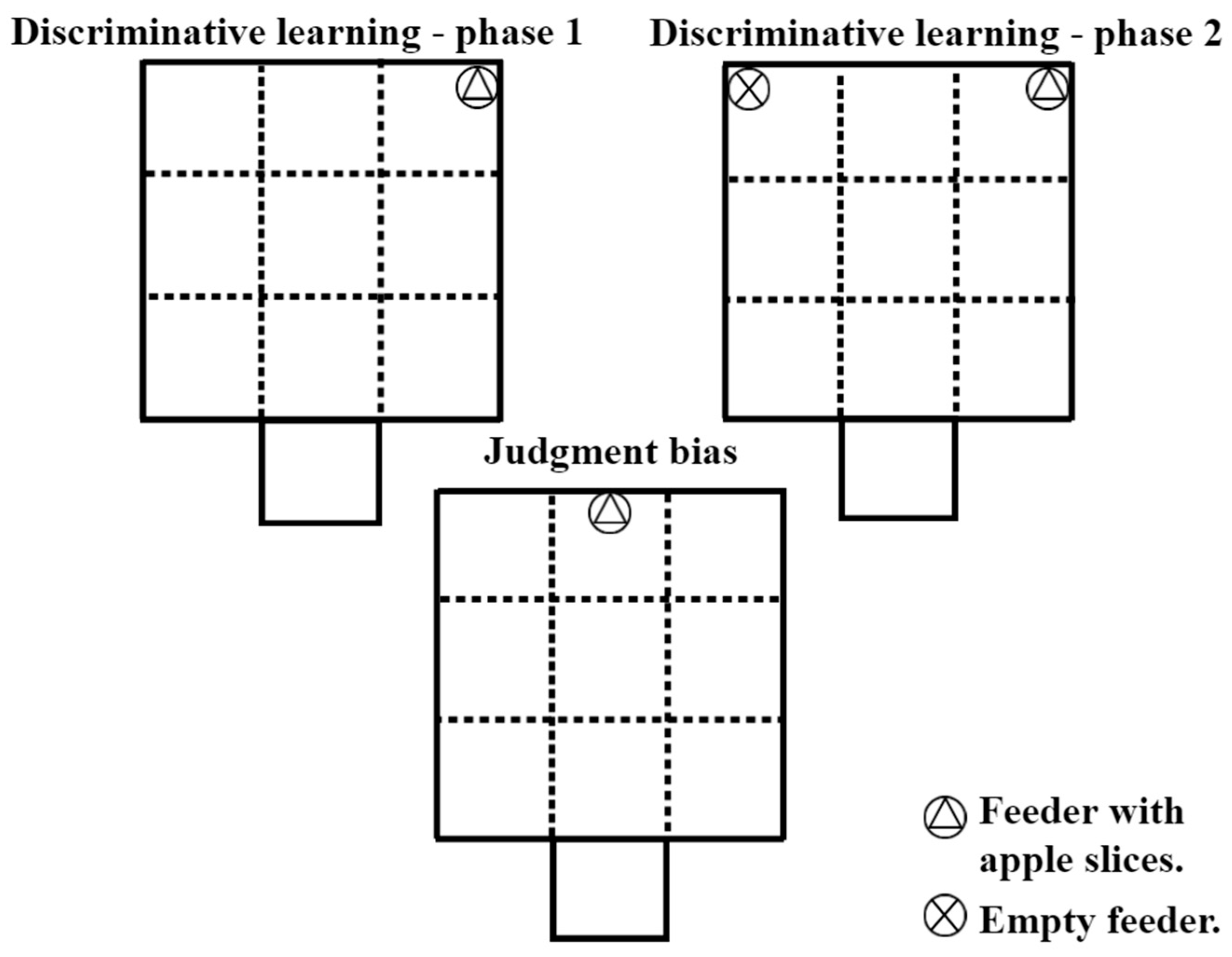 Animals 15 01877 g002