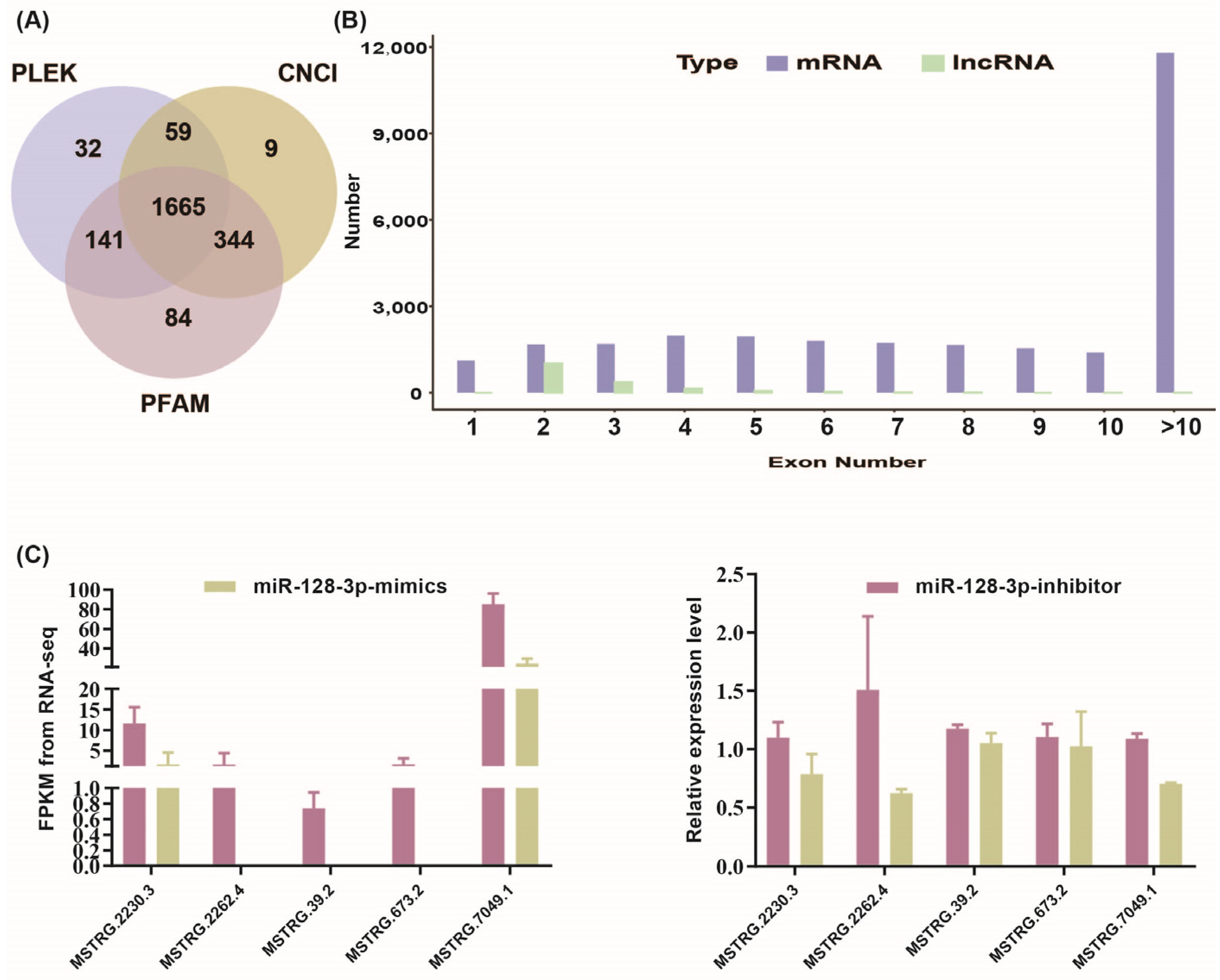 Animals 15 01879 g001