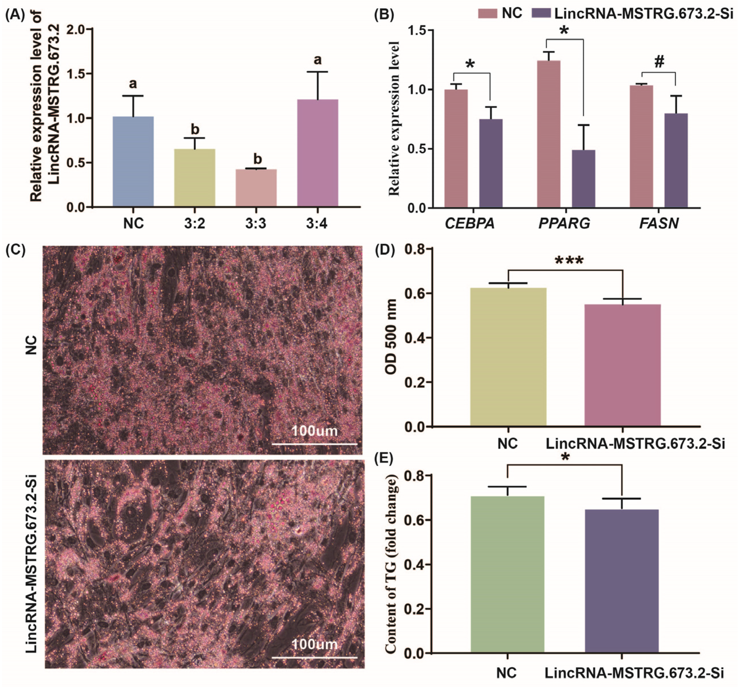 Animals 15 01879 g004