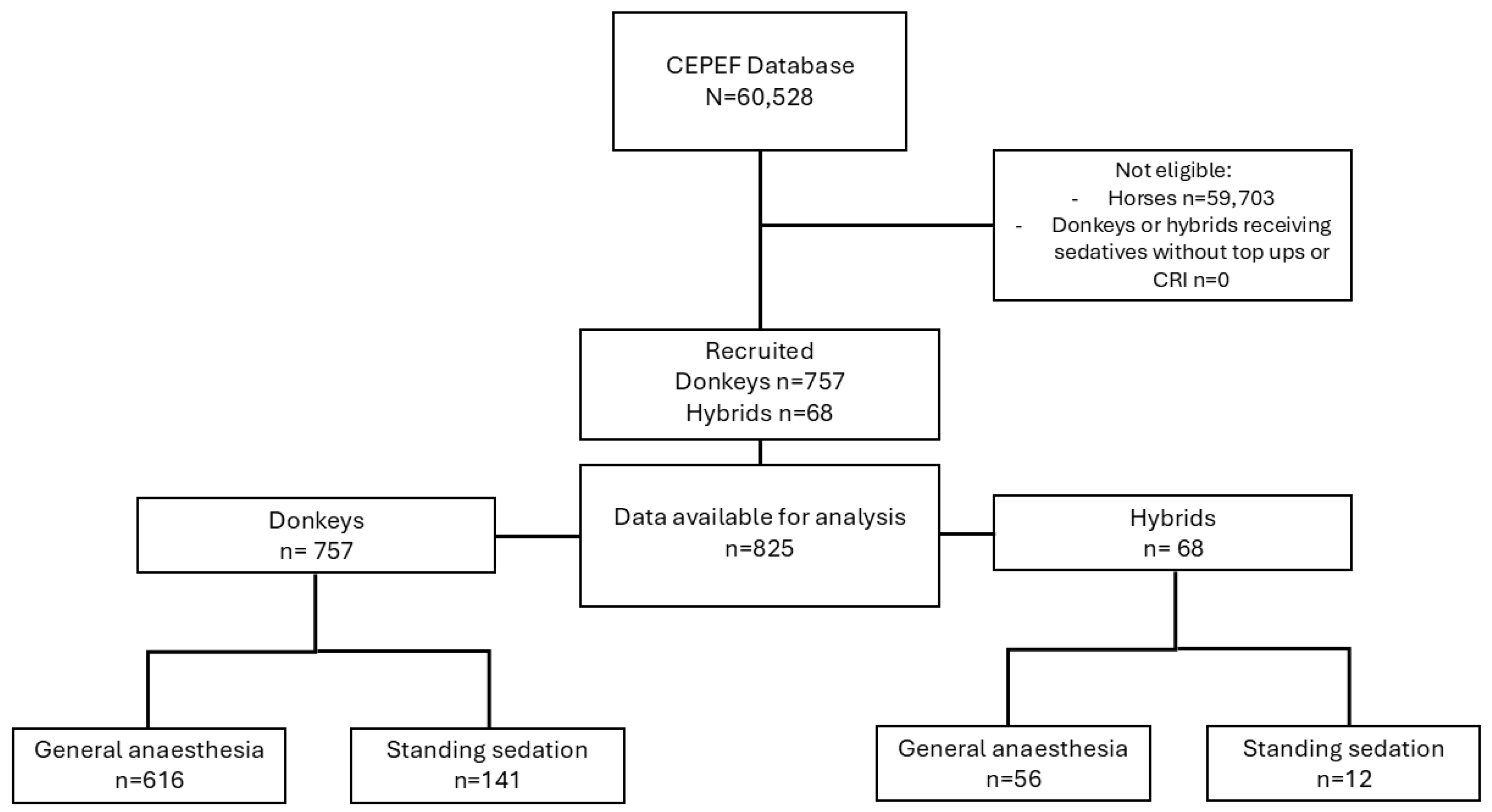 Animals 15 01880 g002