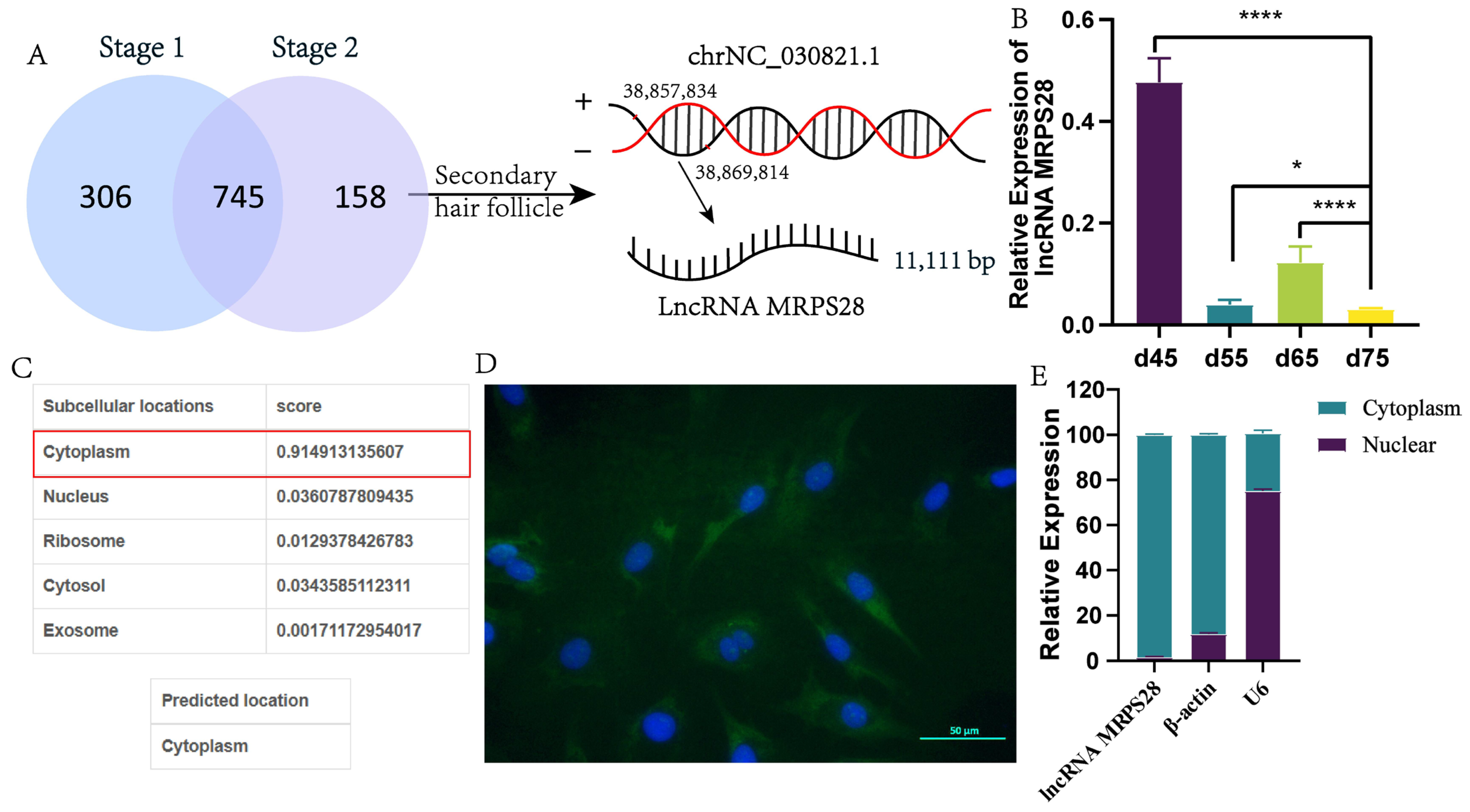 Animals 15 01882 g001