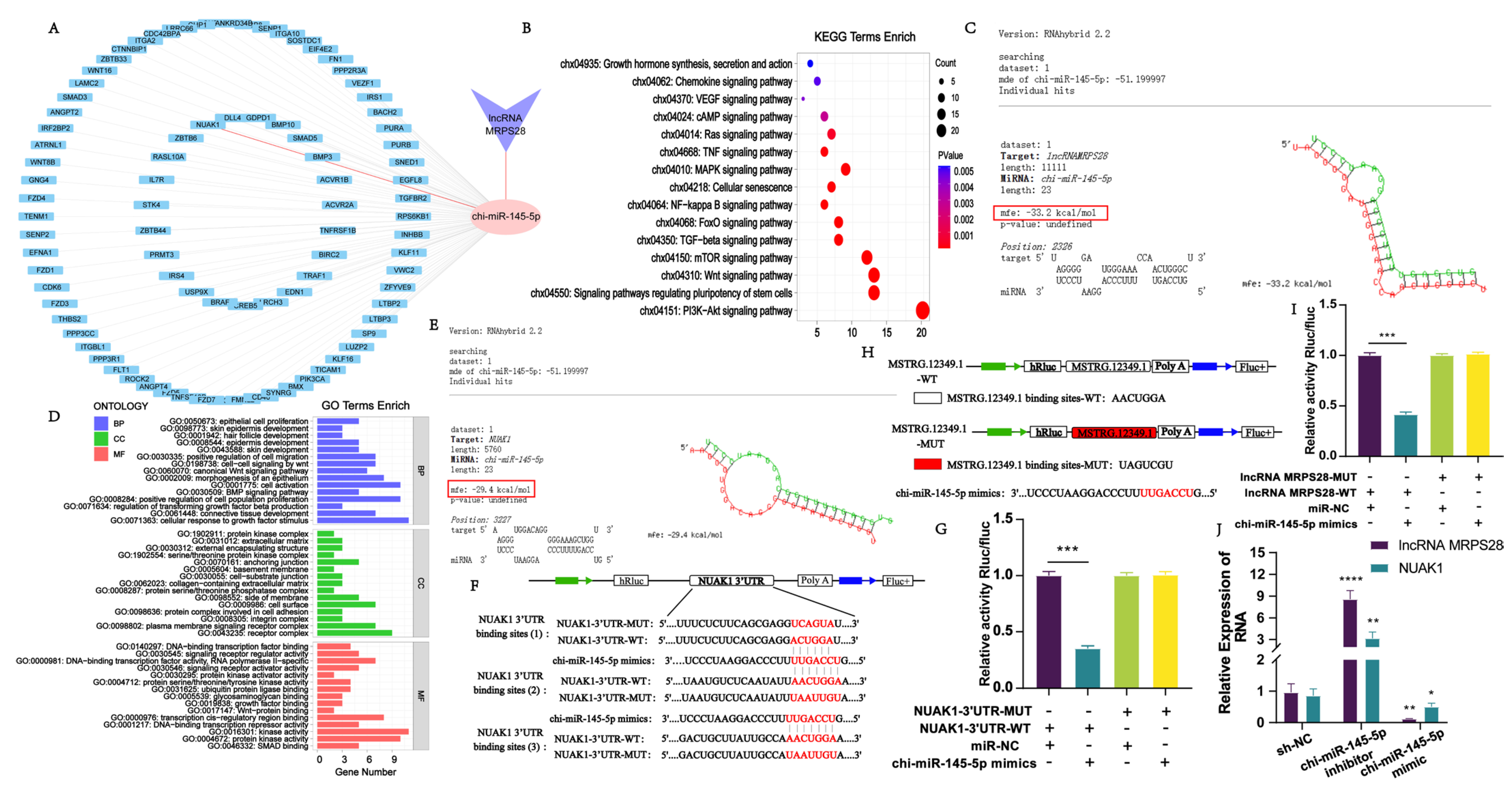 Animals 15 01882 g003