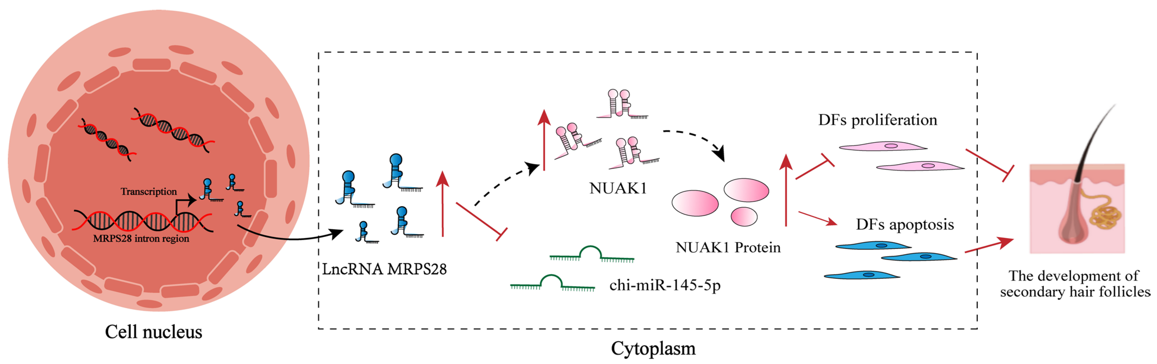 Animals 15 01882 g007