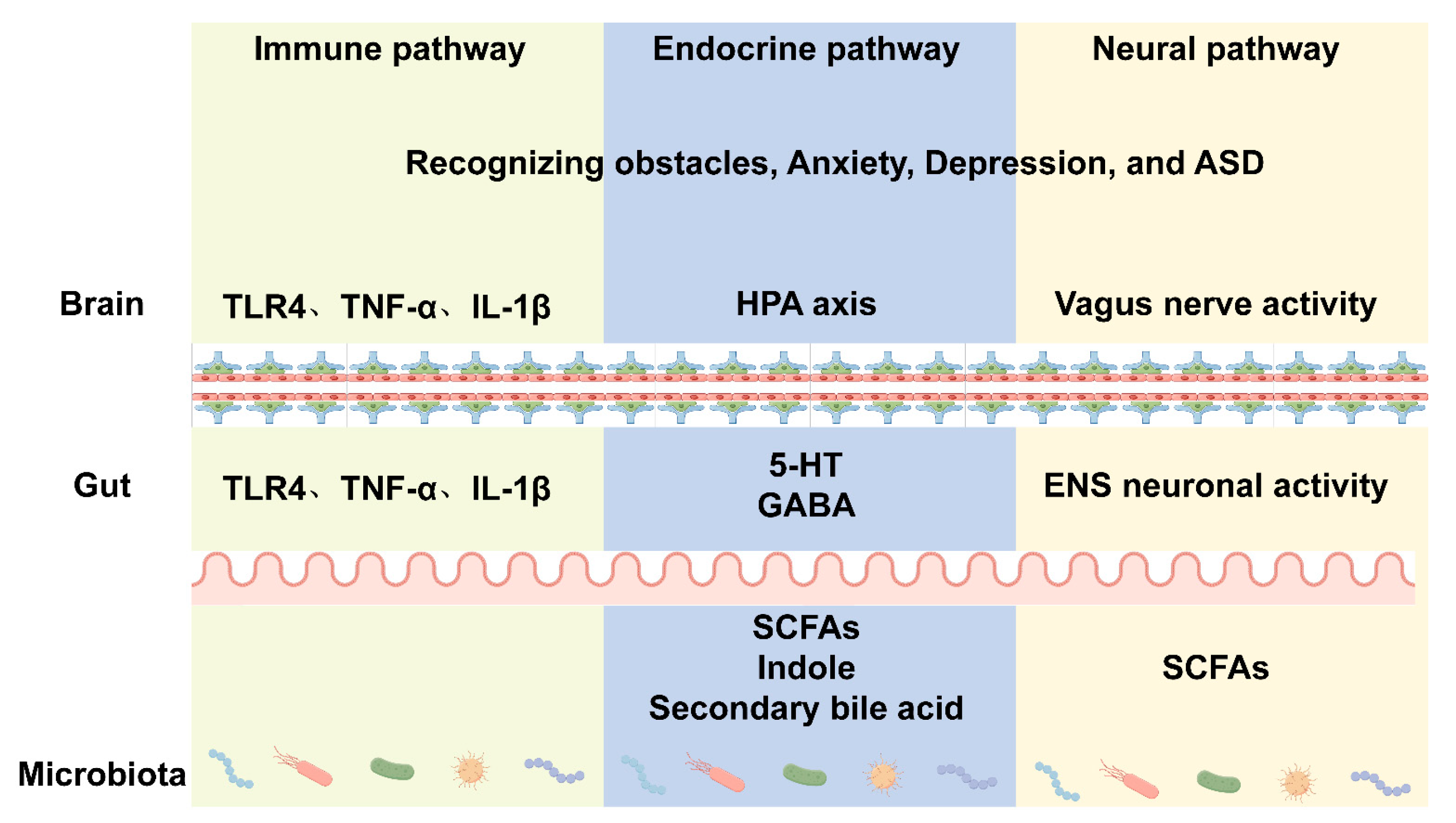 Animals 15 01886 g003