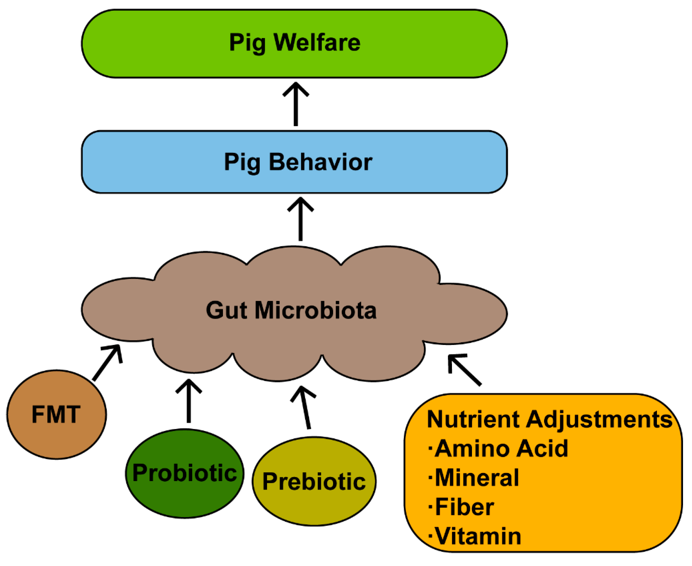 Animals 15 01886 g004