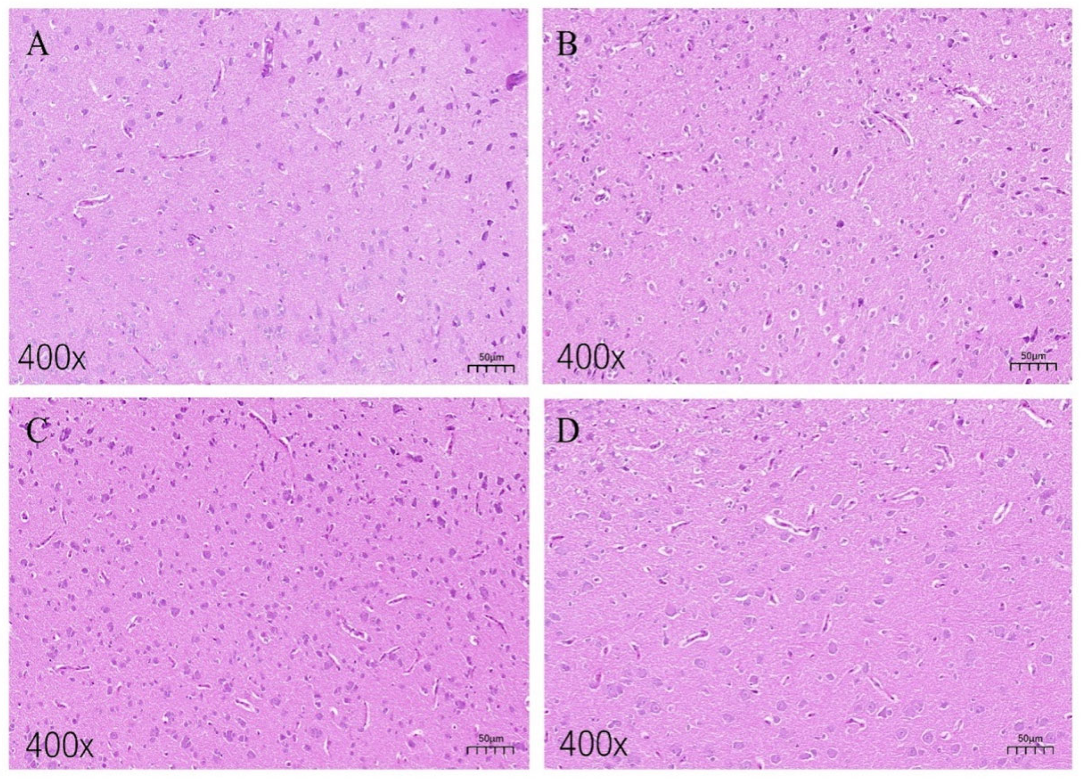 Animals 15 01889 g002