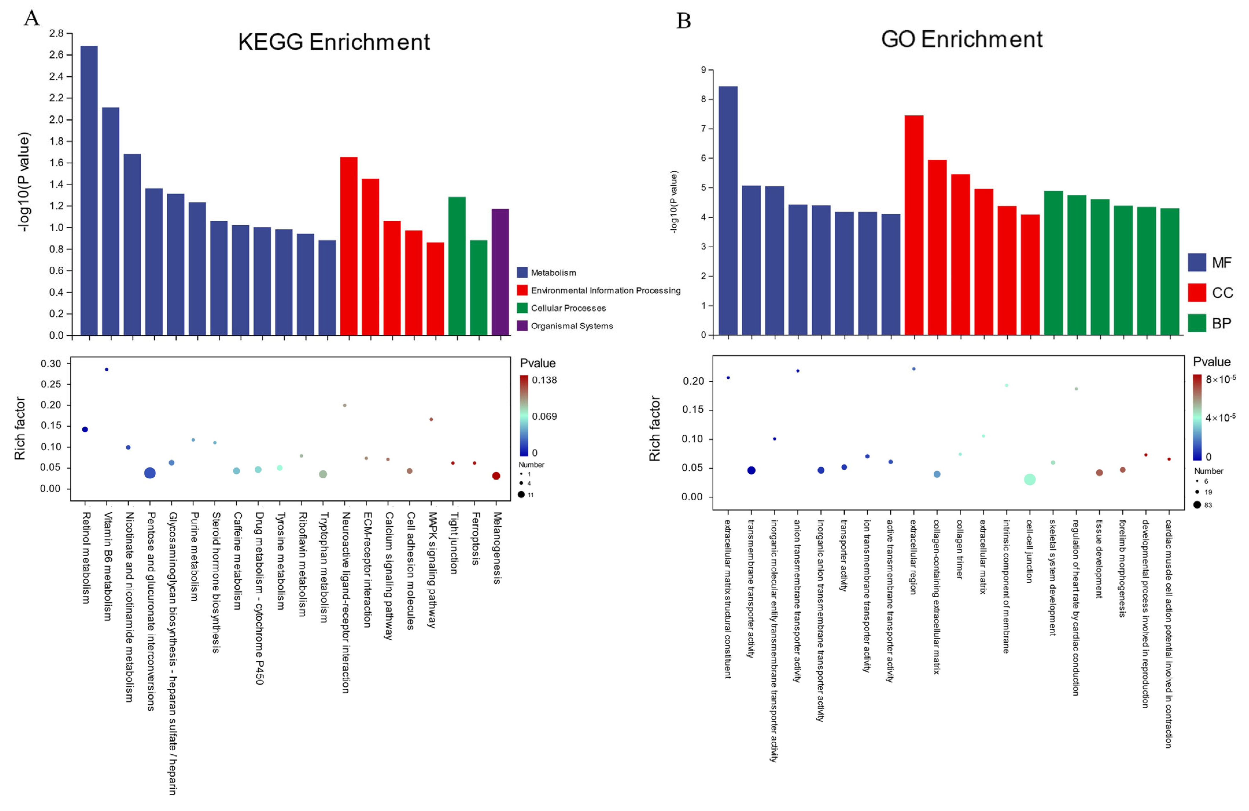 Animals 15 01889 g005