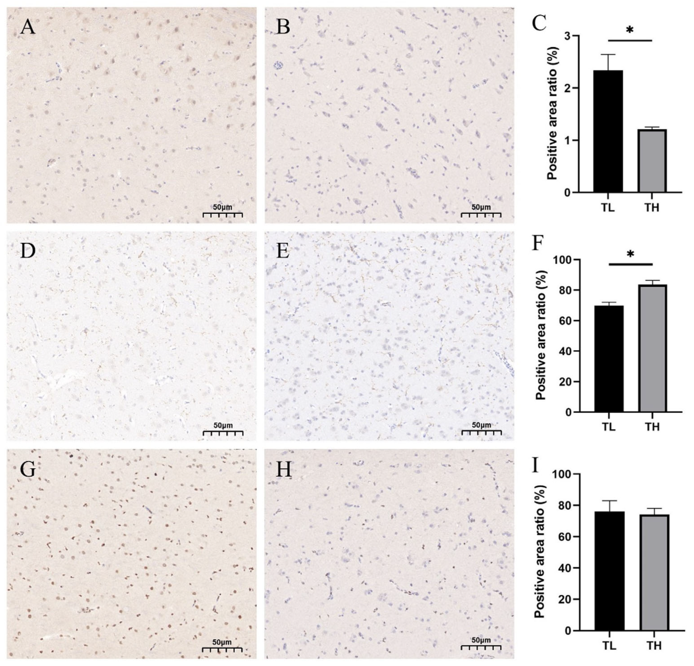 Animals 15 01889 g007