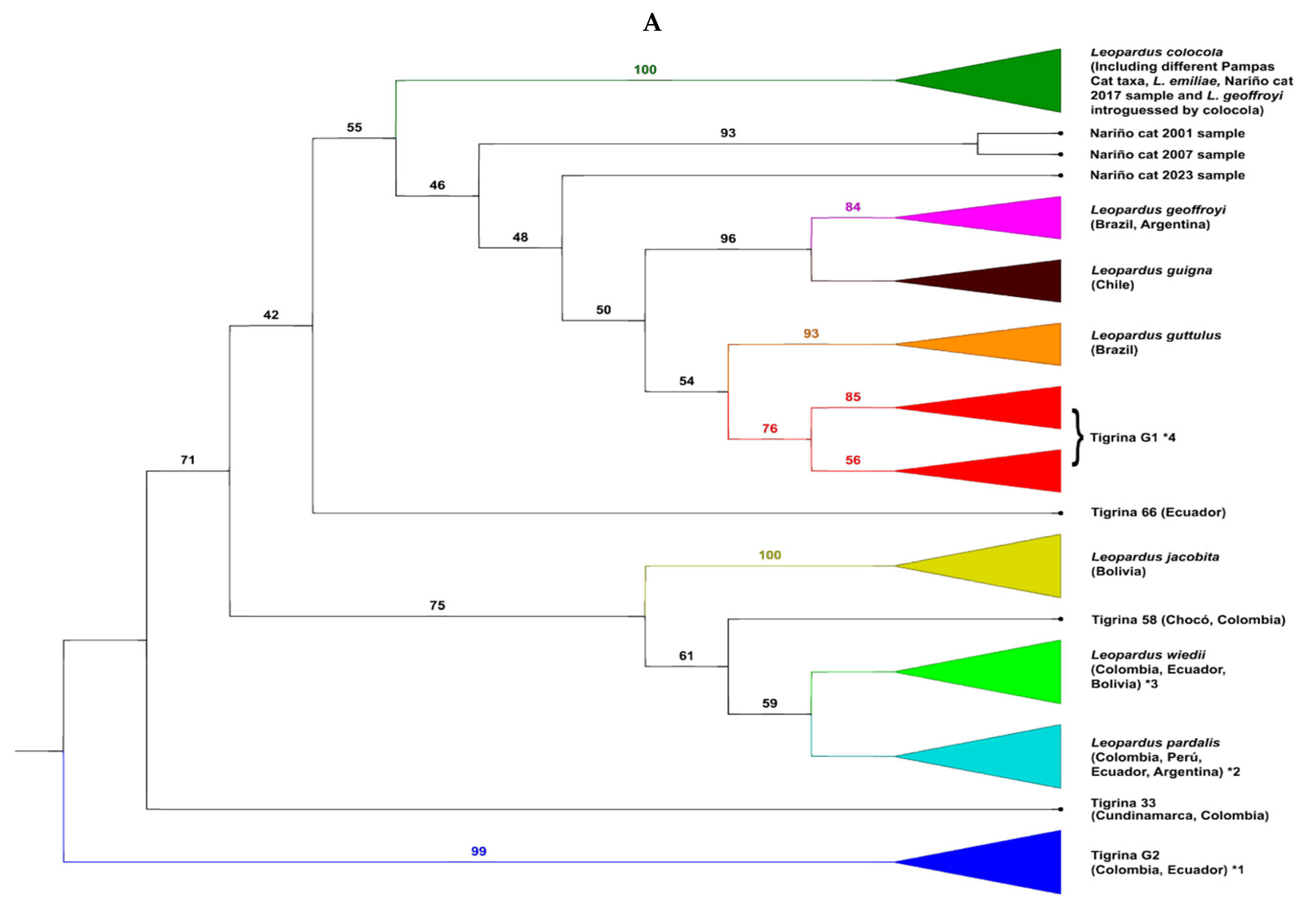 Animals 15 01891 g002a Animals 15 01891 g002a