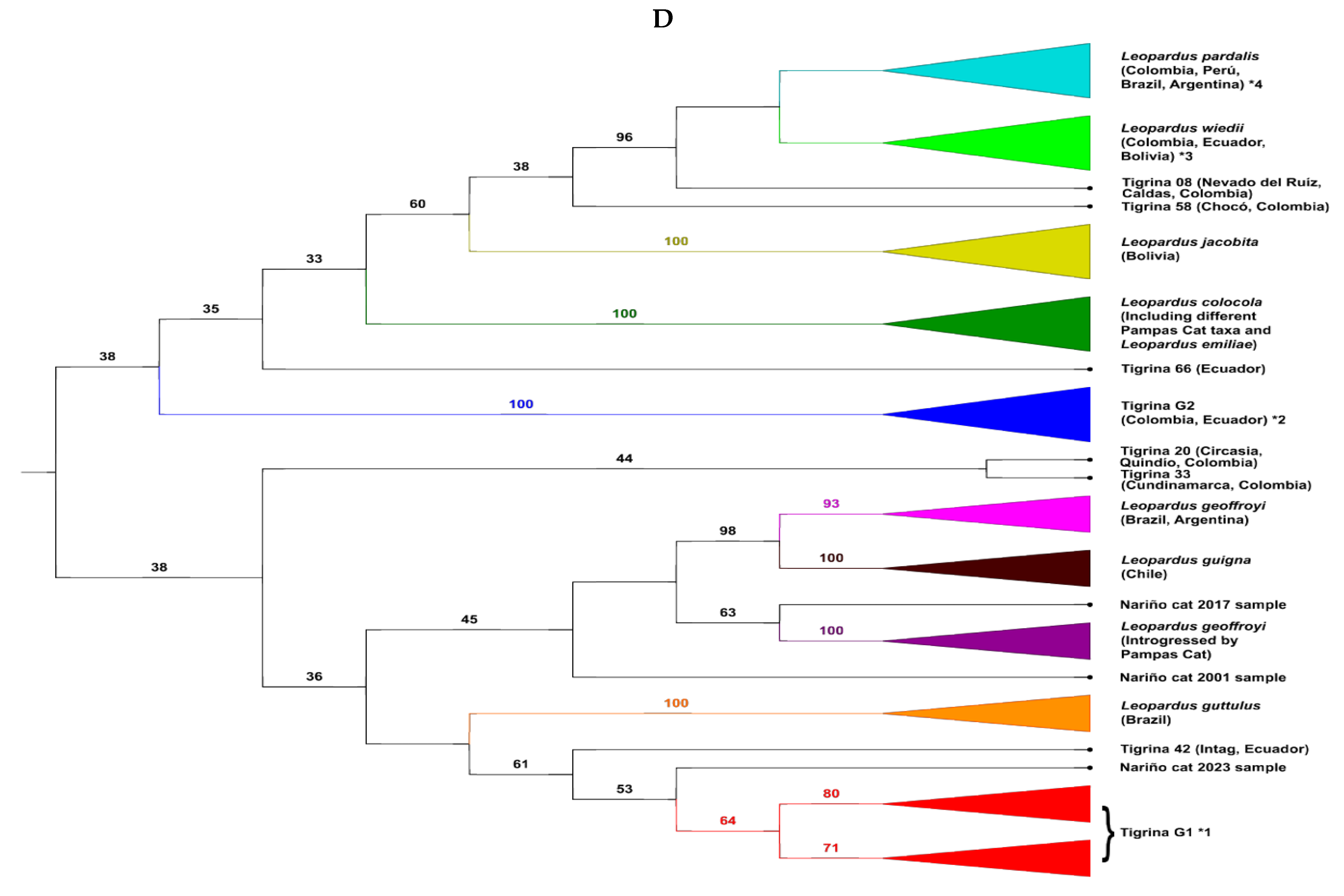 Animals 15 01891 g002c Animals 15 01891 g002c