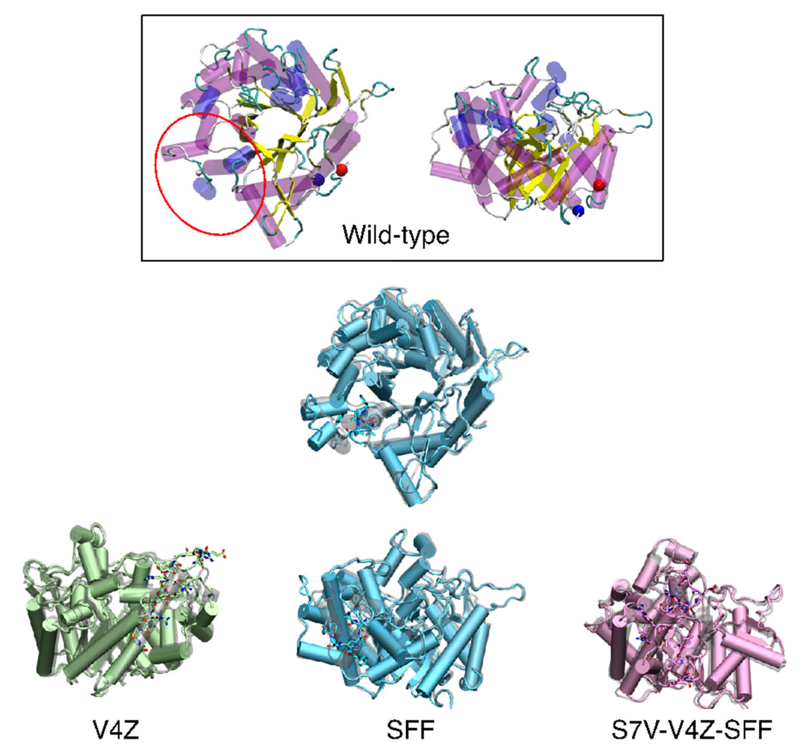 Animals 15 01893 g002