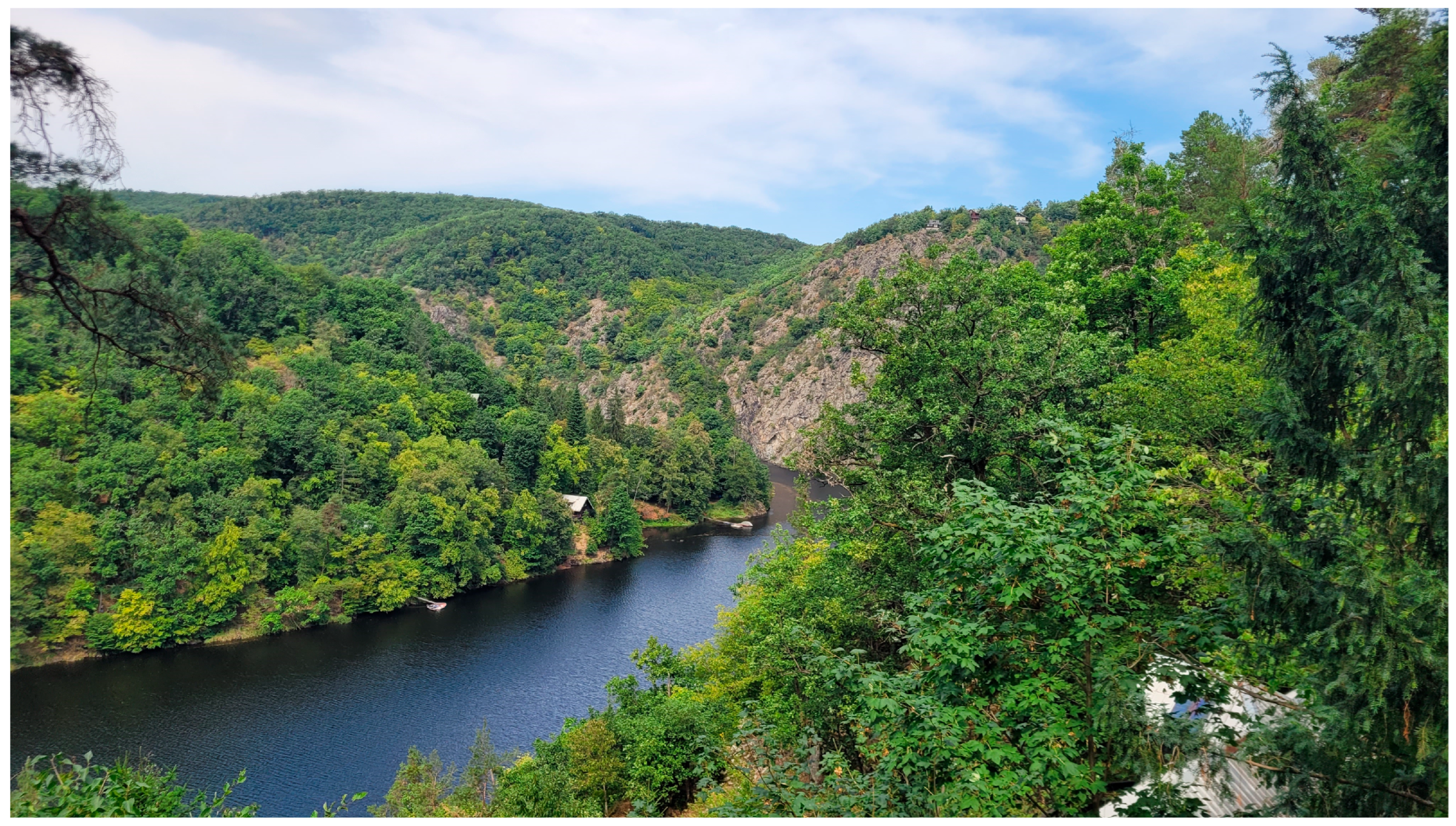 Animals 15 01894 g003