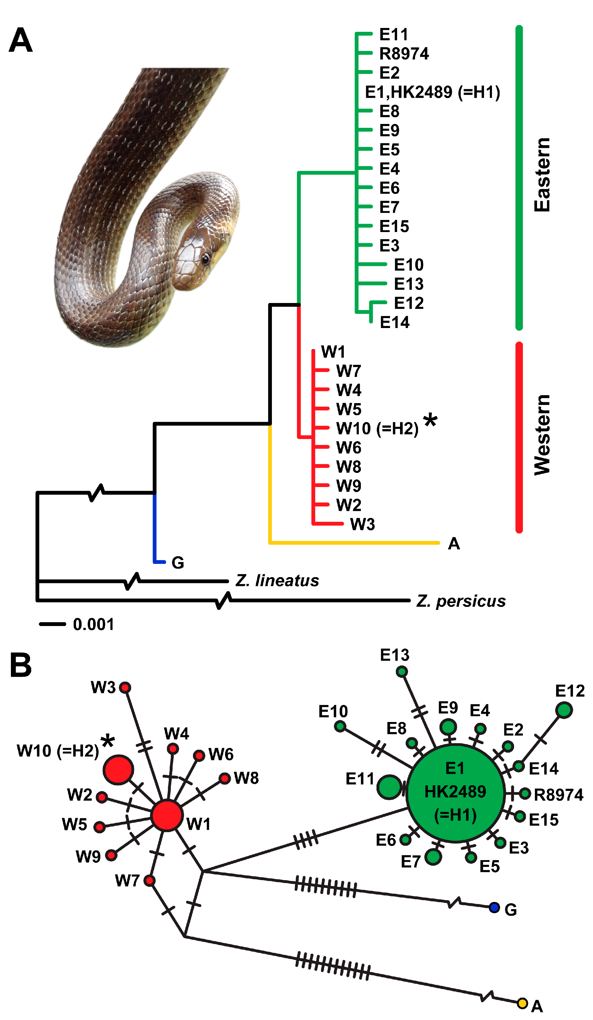 Animals 15 01894 g005