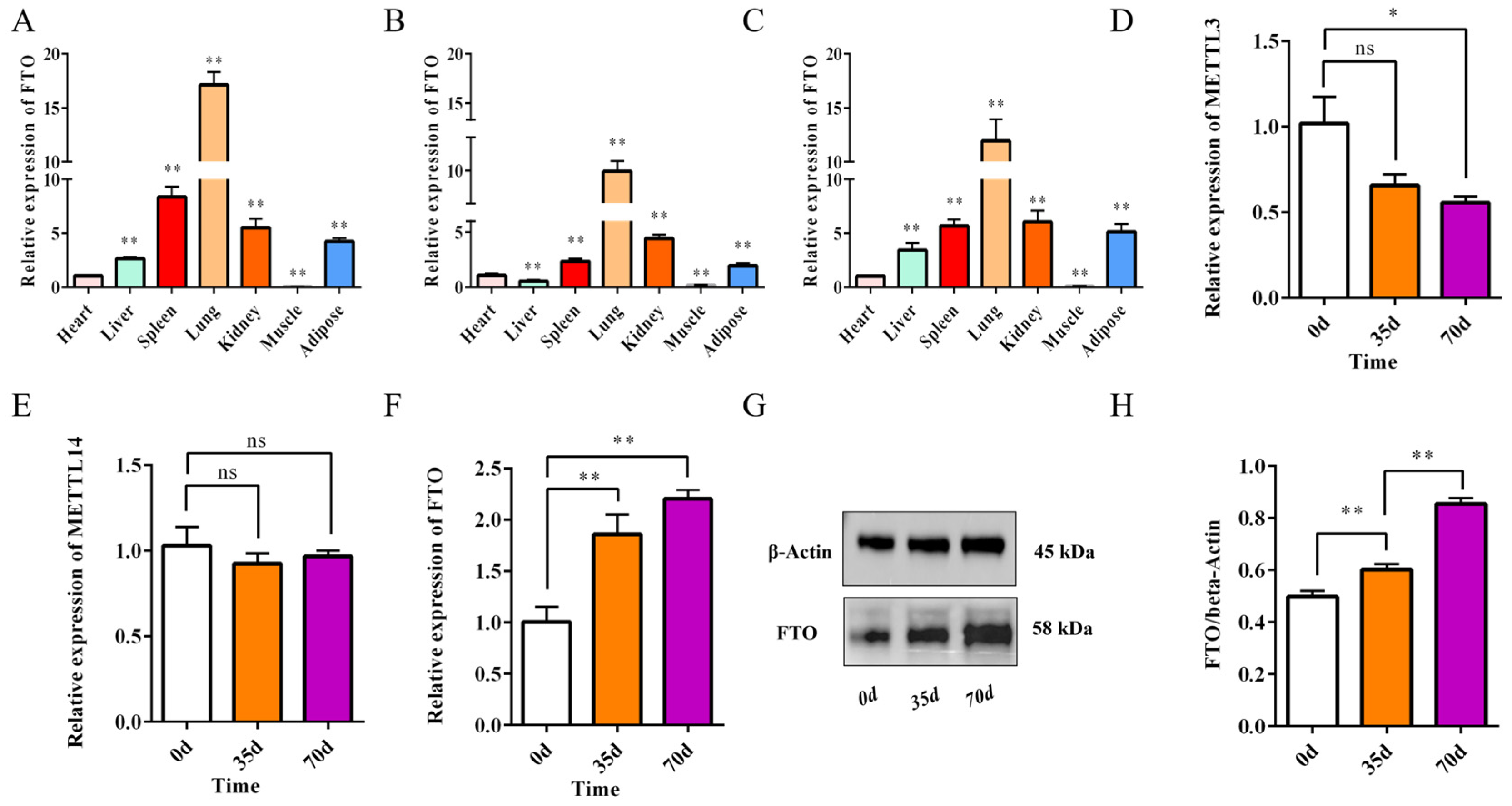Animals 15 01909 g003