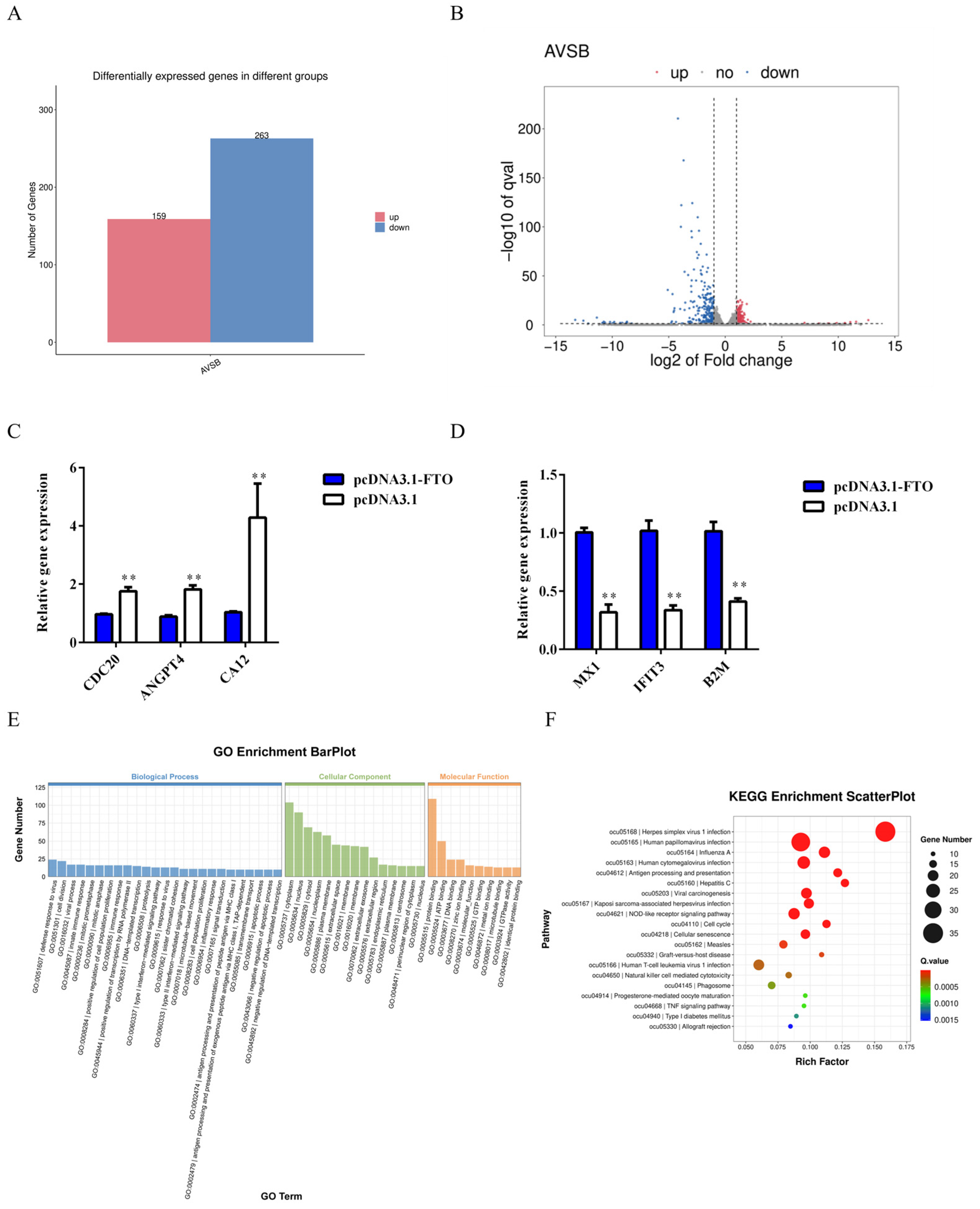 Animals 15 01909 g005