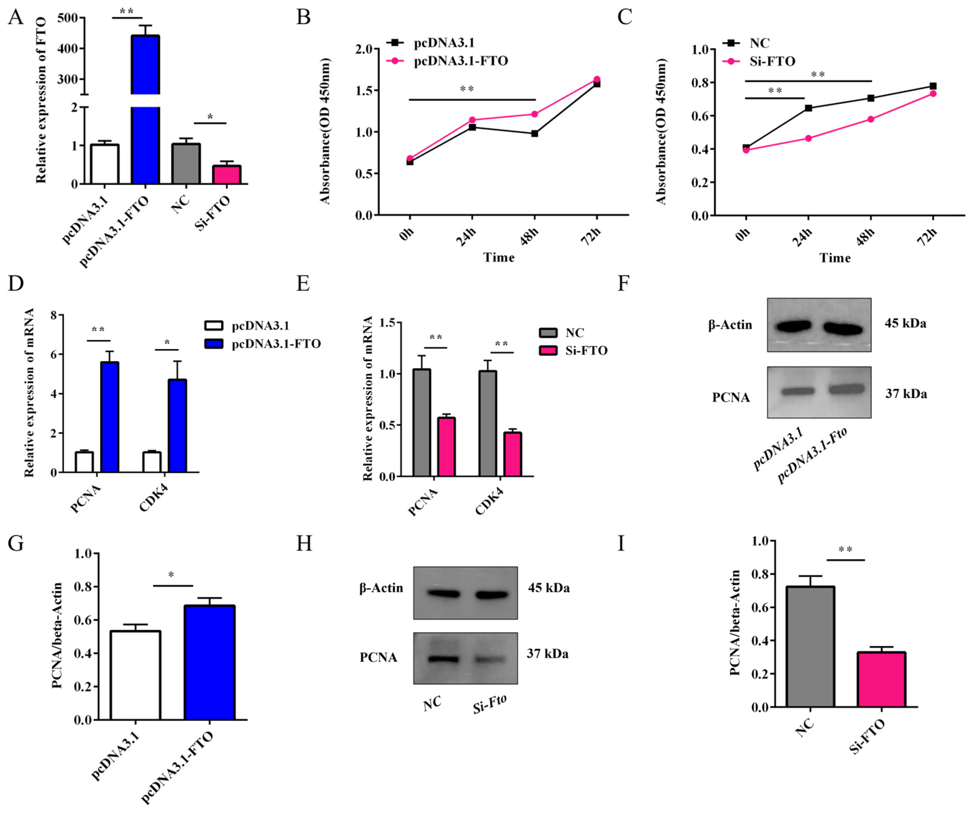 Animals 15 01909 g006
