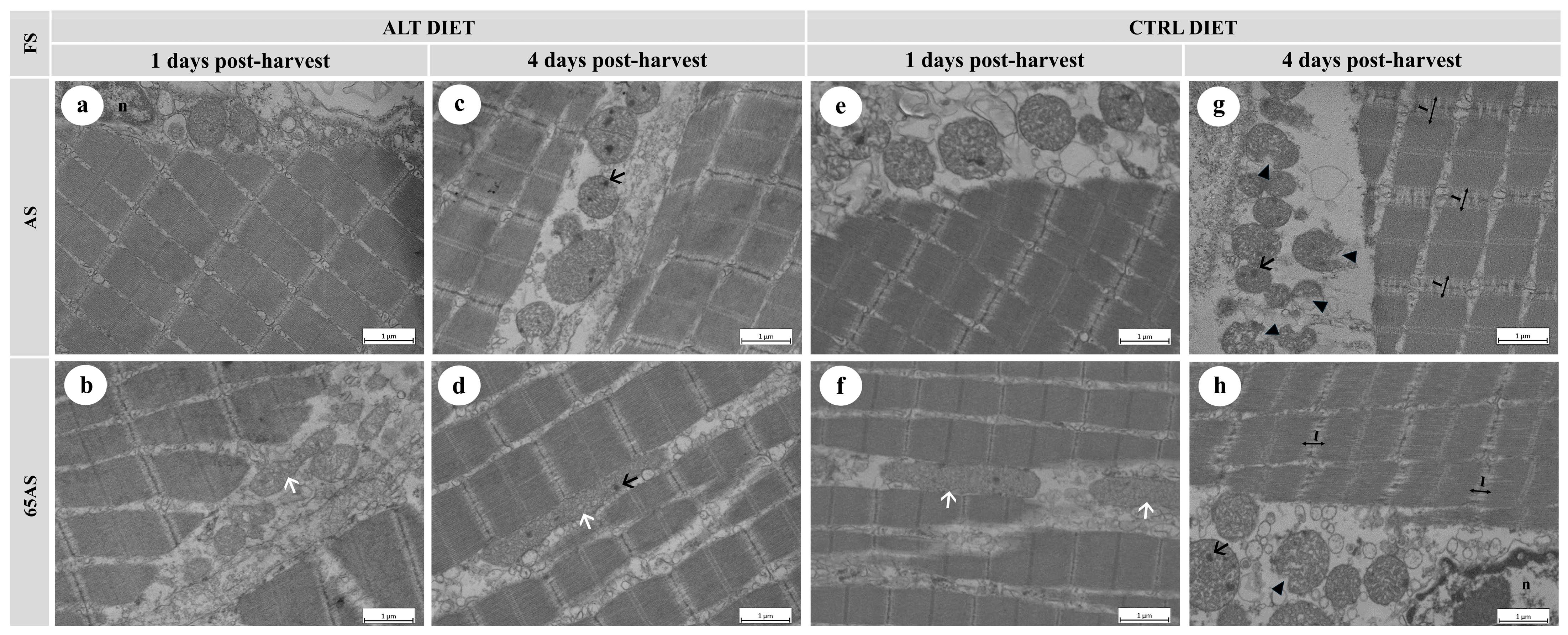 Animals 15 01913 g006