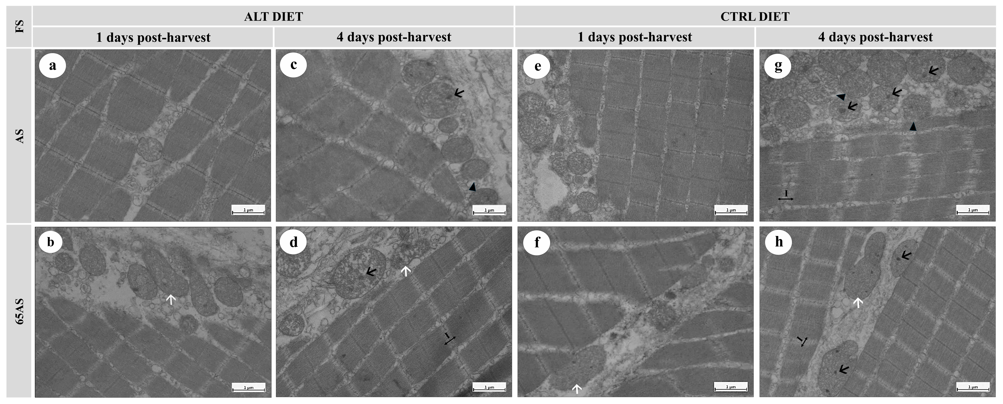 Animals 15 01913 g007