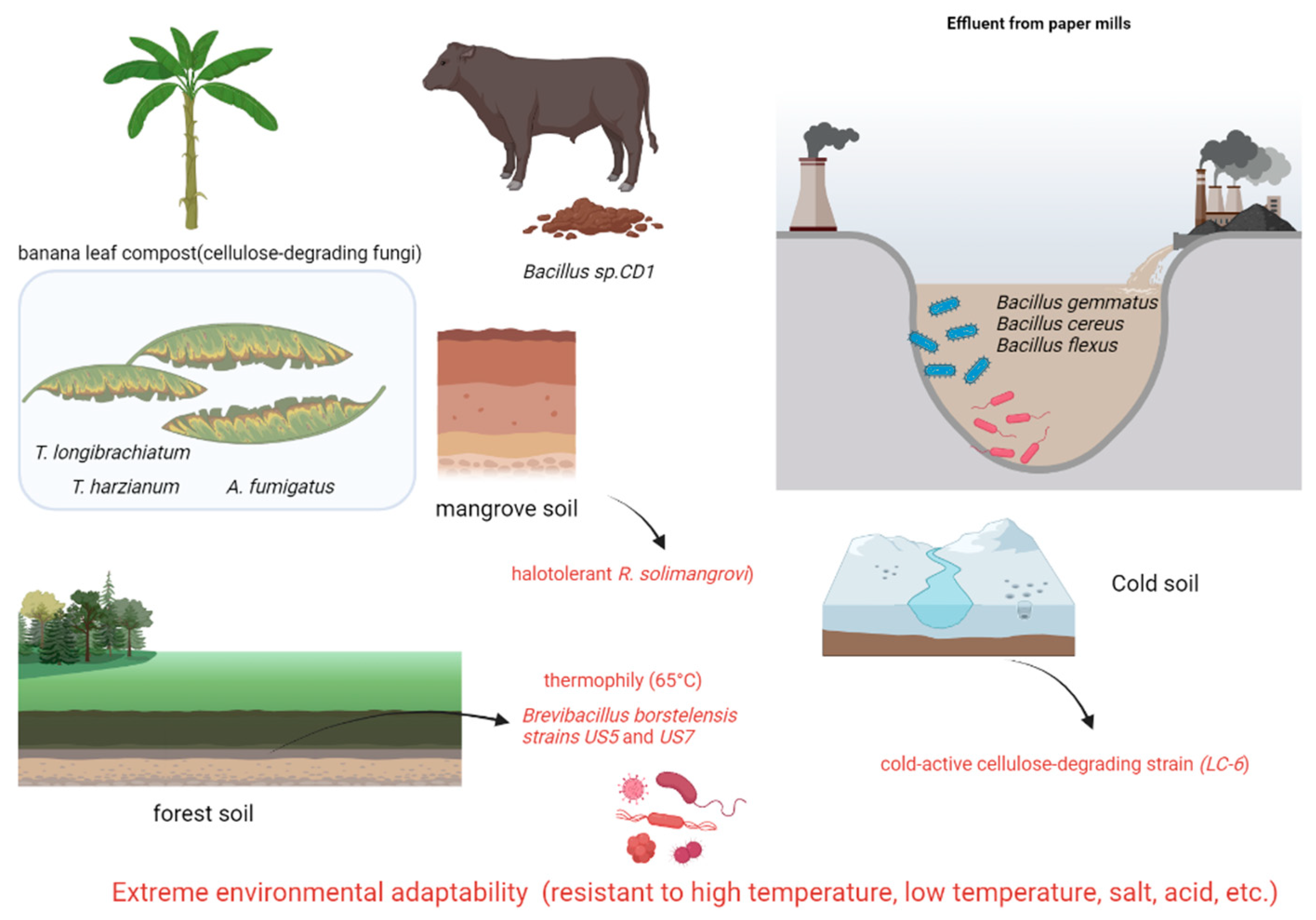Animals 15 01920 g003
