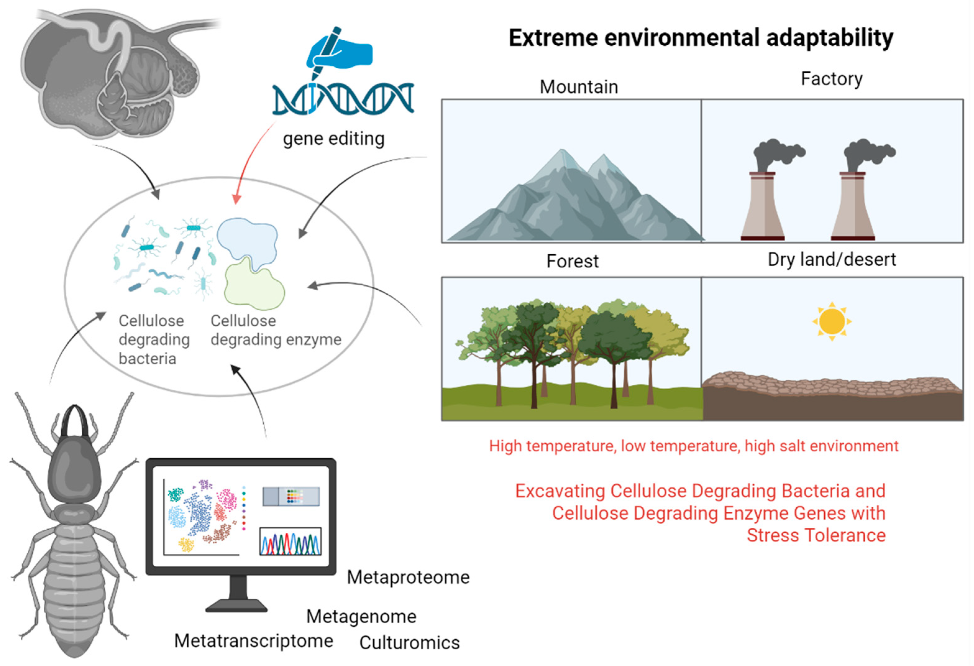 Animals 15 01920 g004