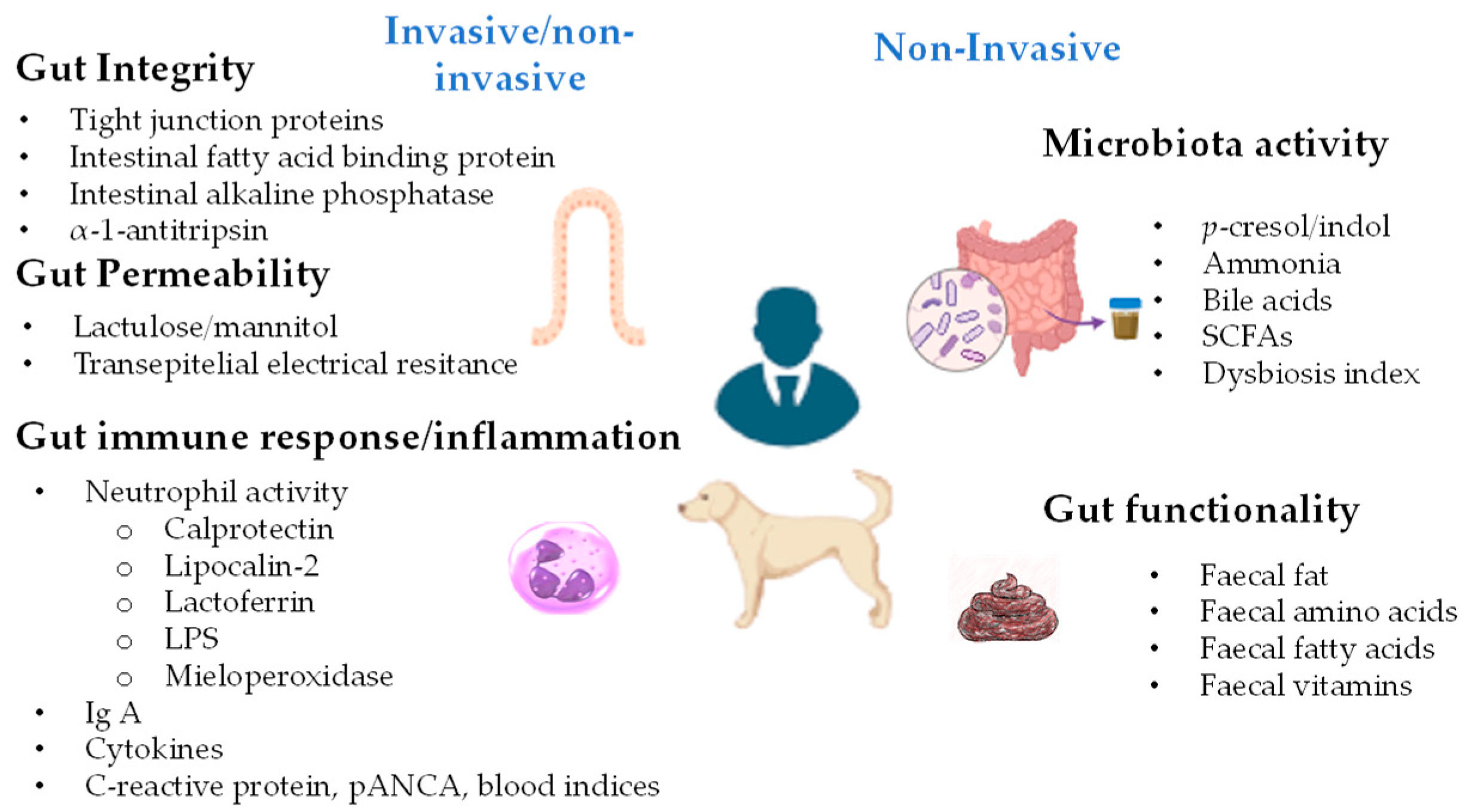 Animals 15 01927 g001