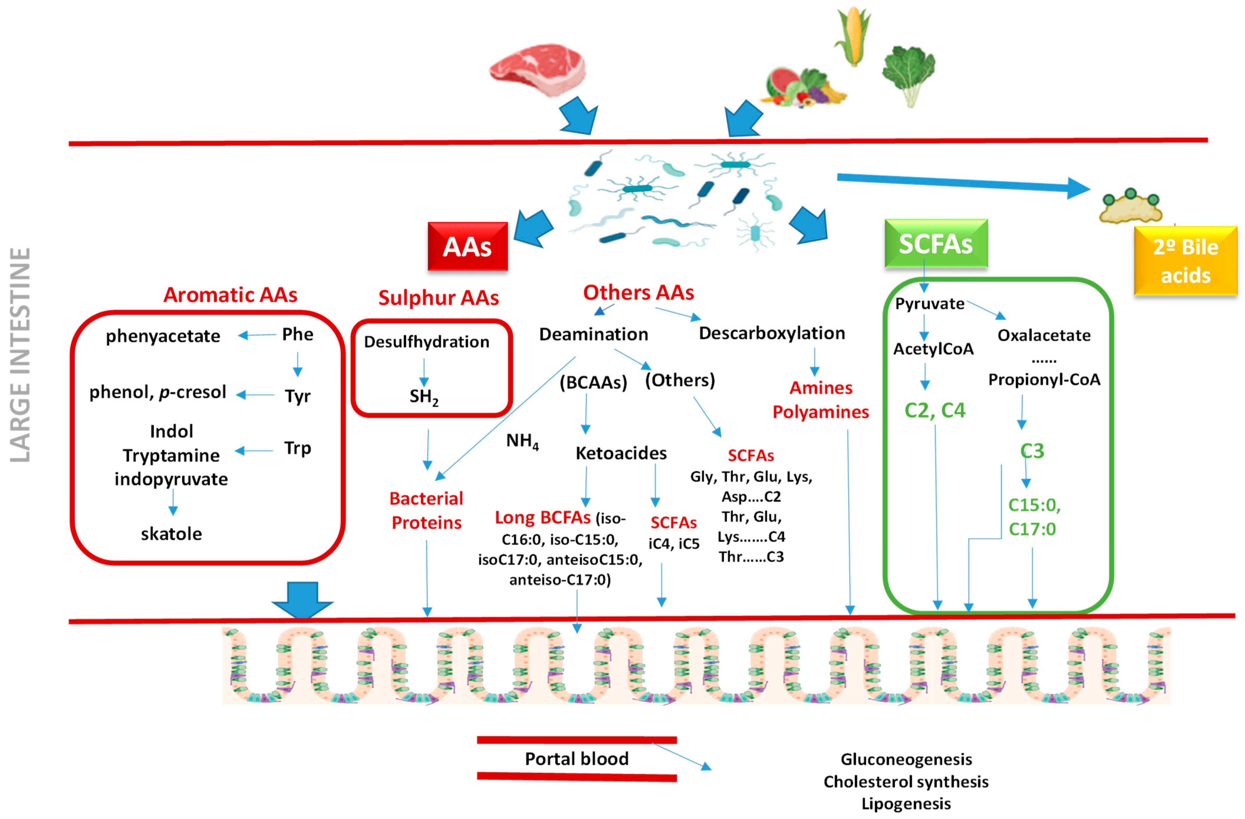 Animals 15 01927 g002