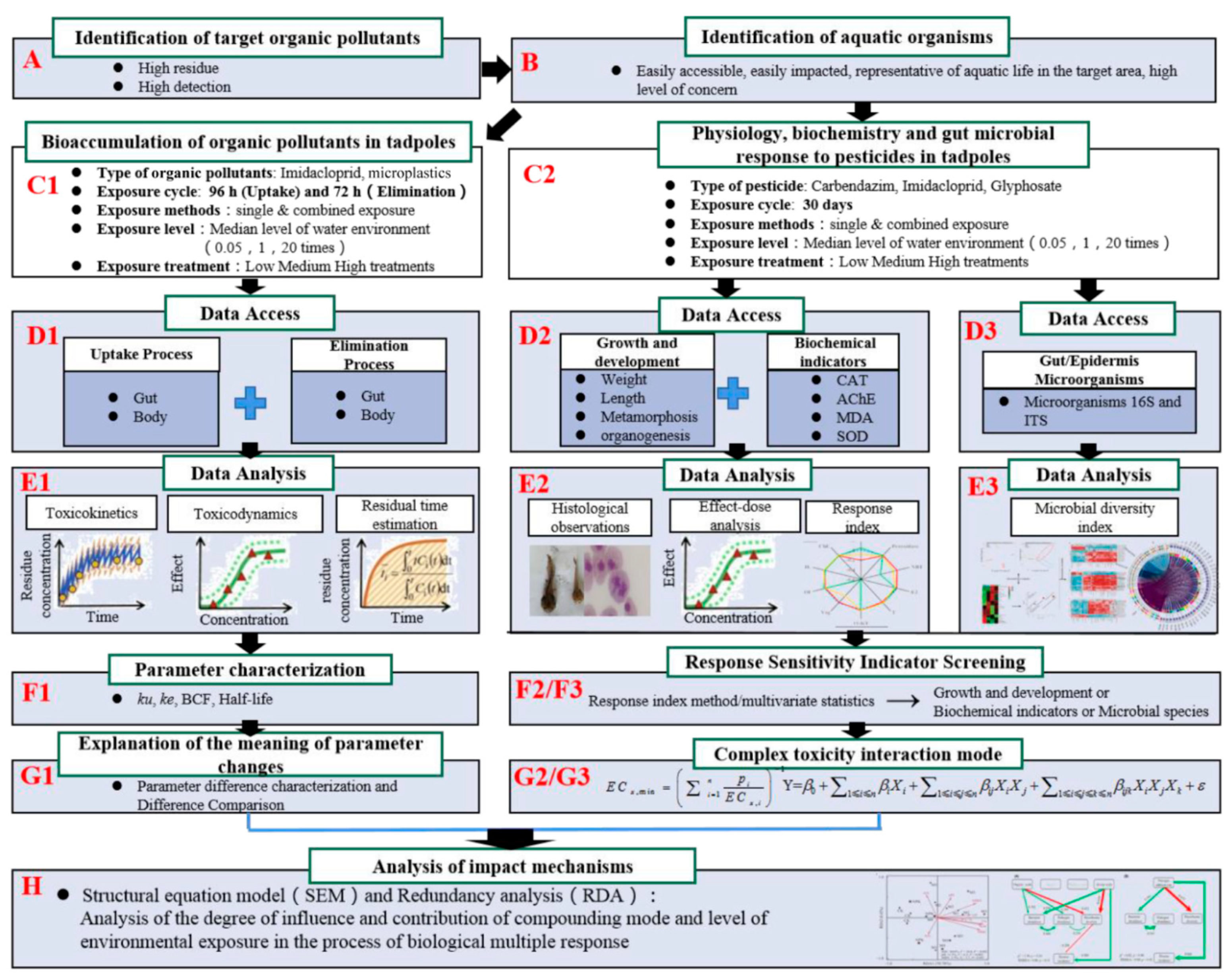 Animals 15 01928 g005