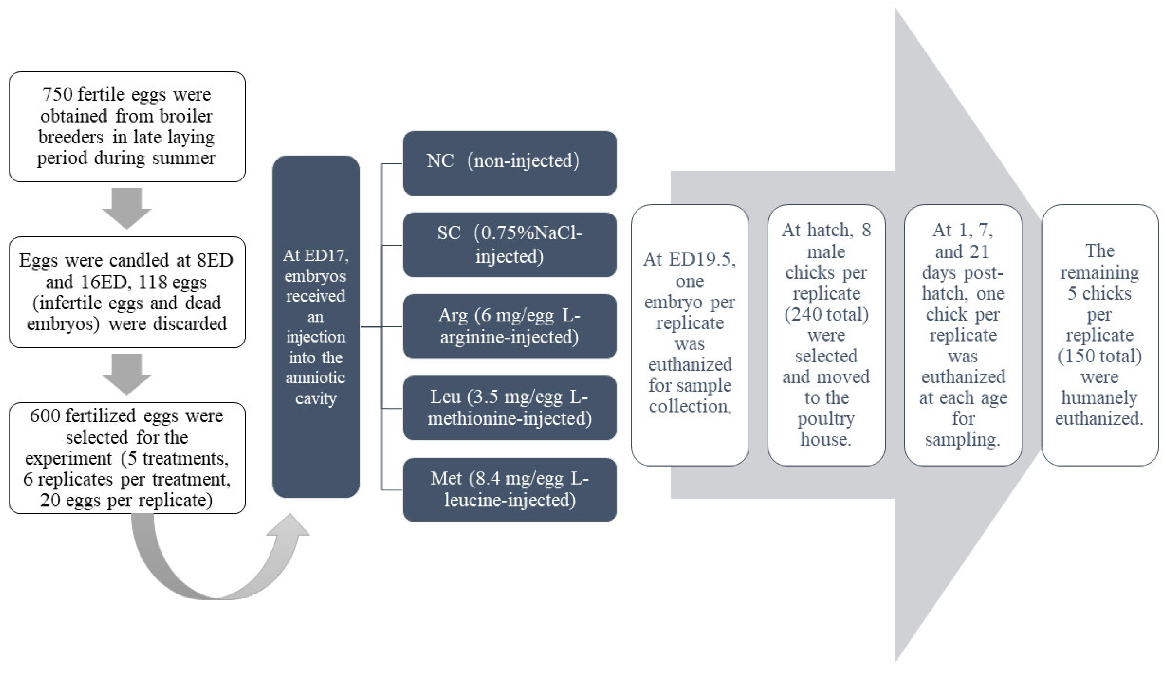 Animals 15 01930 g001