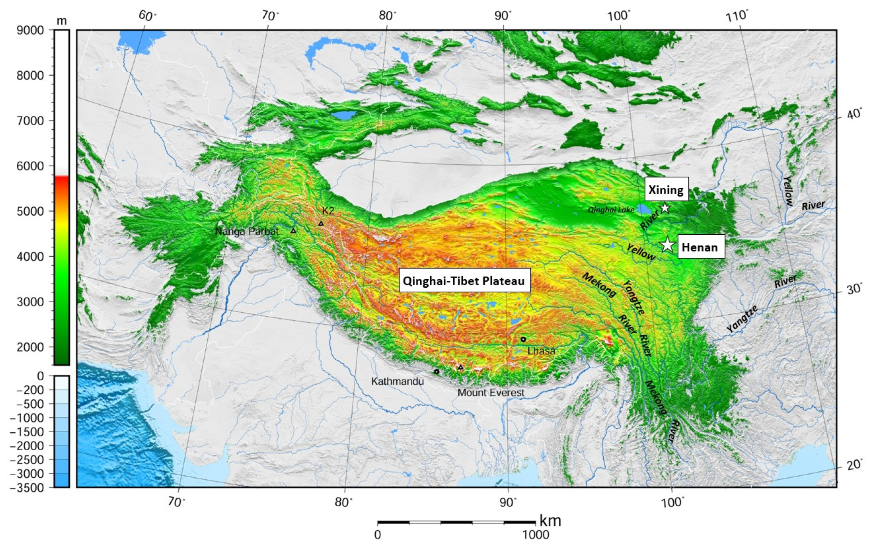 Animals 15 01933 g002
