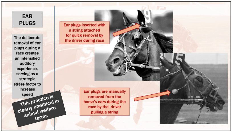 Animals 15 01934 g003