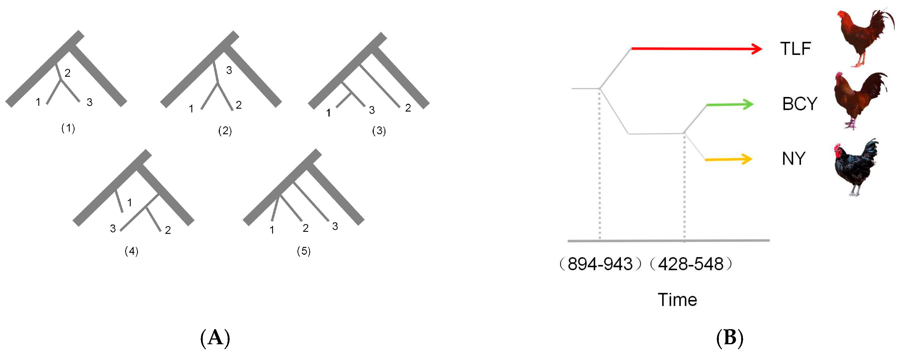 Animals 15 01952 g004