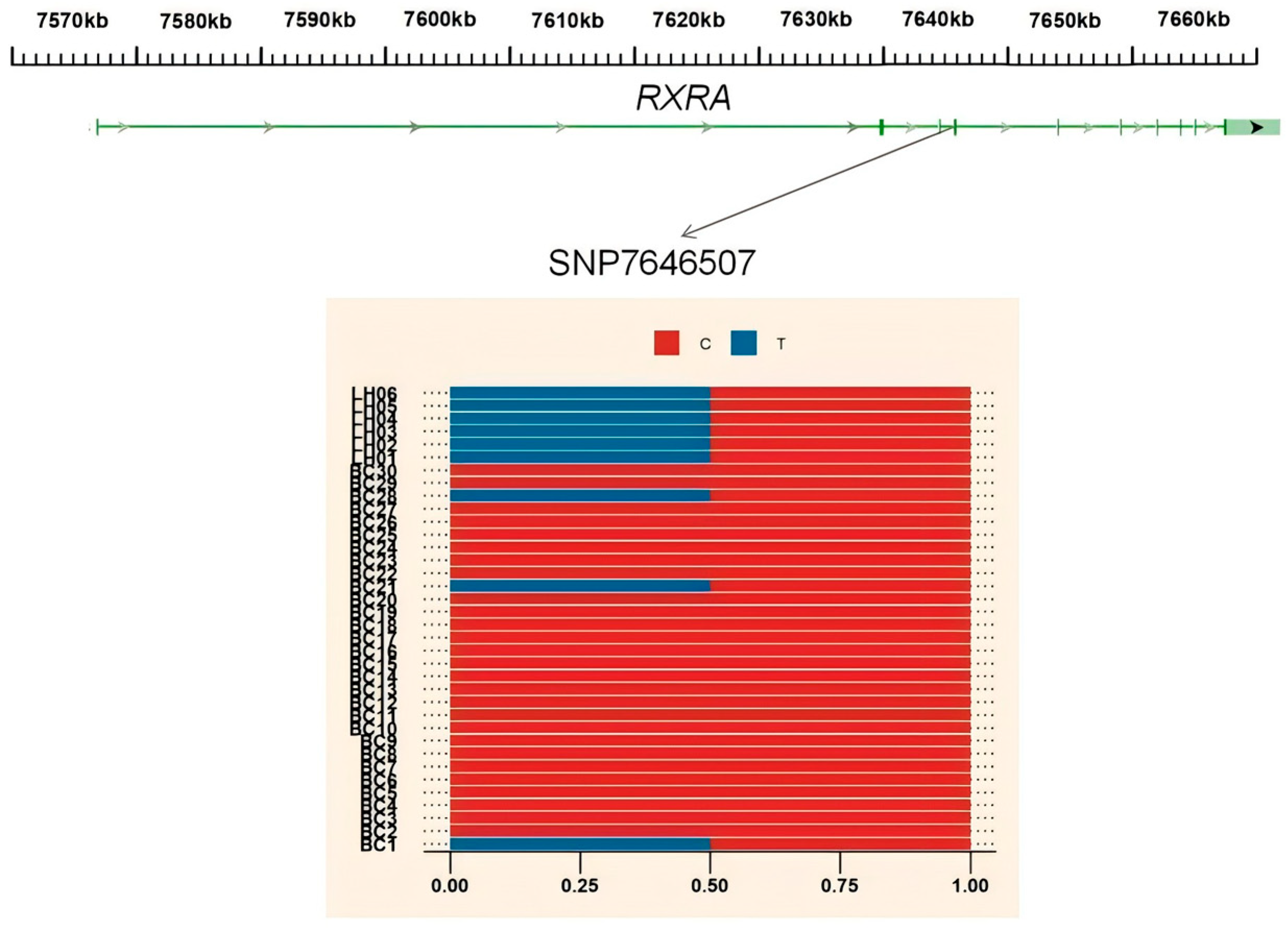 Animals 15 01952 g009a