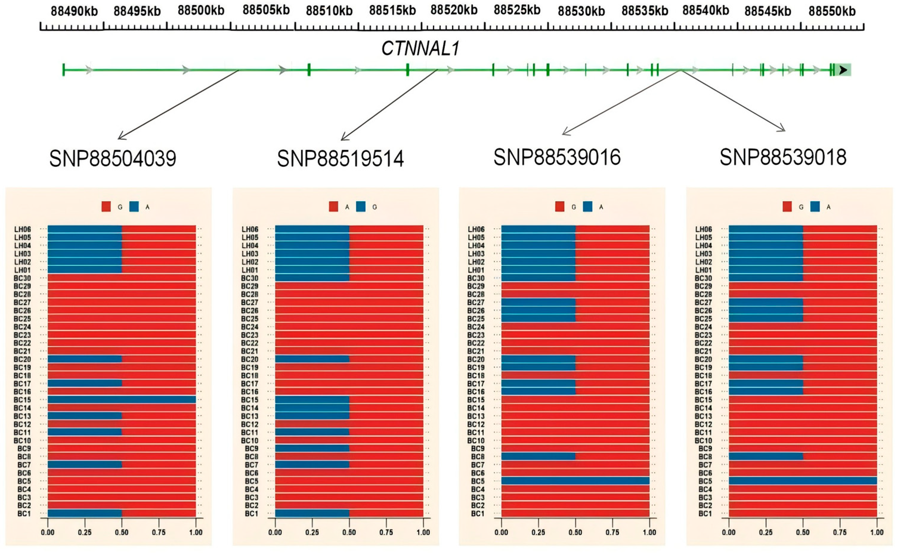 Animals 15 01952 g009b