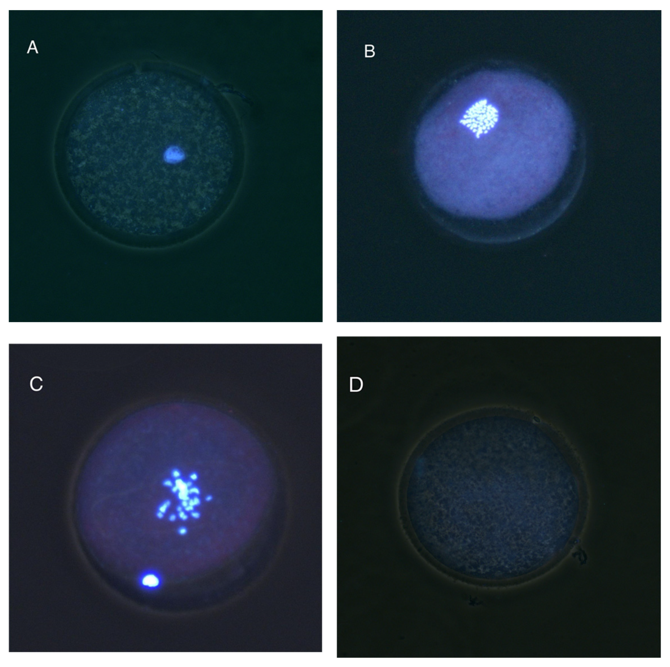 Animals 15 01953 g007