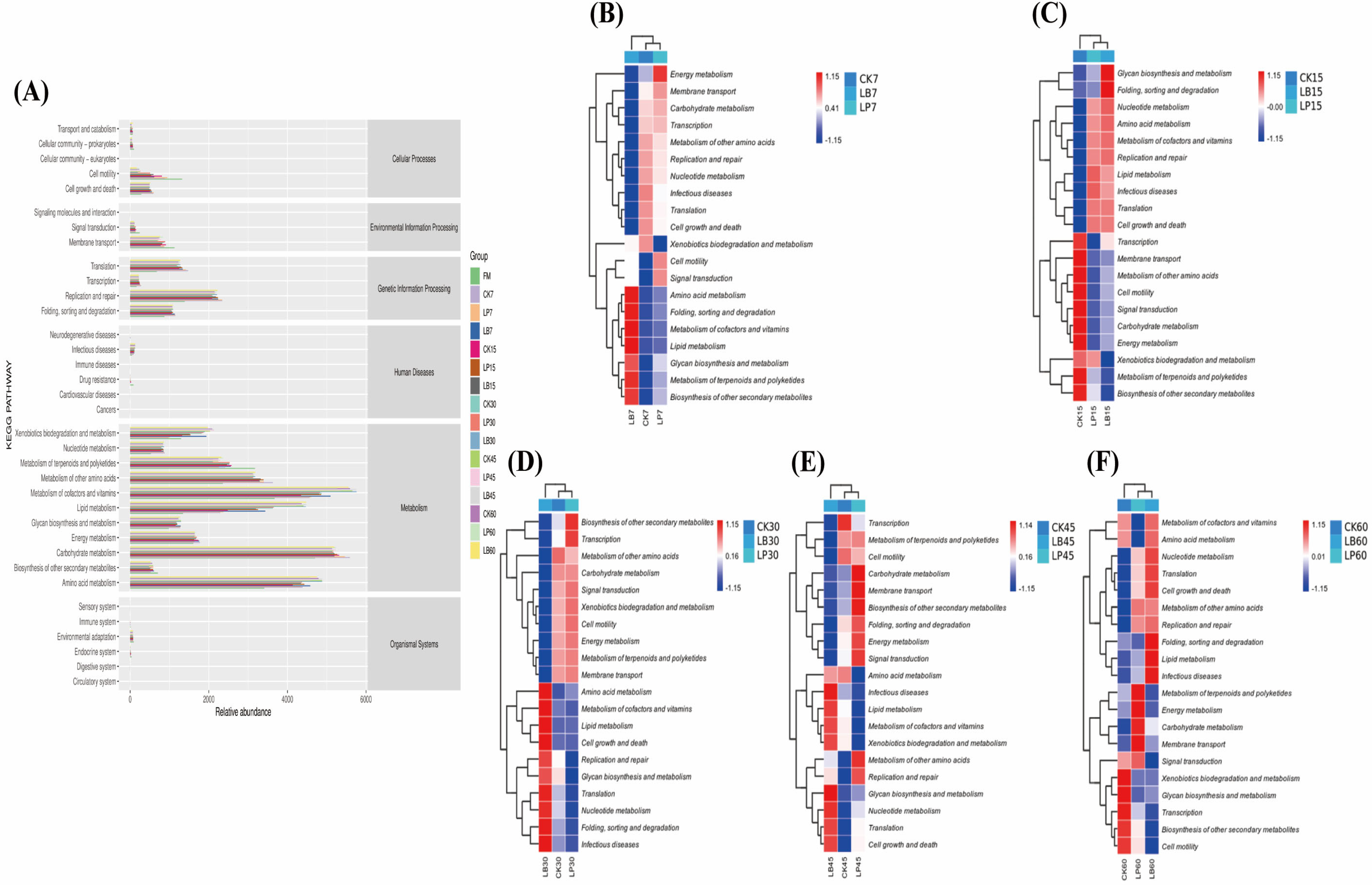 Animals 15 01955 g006