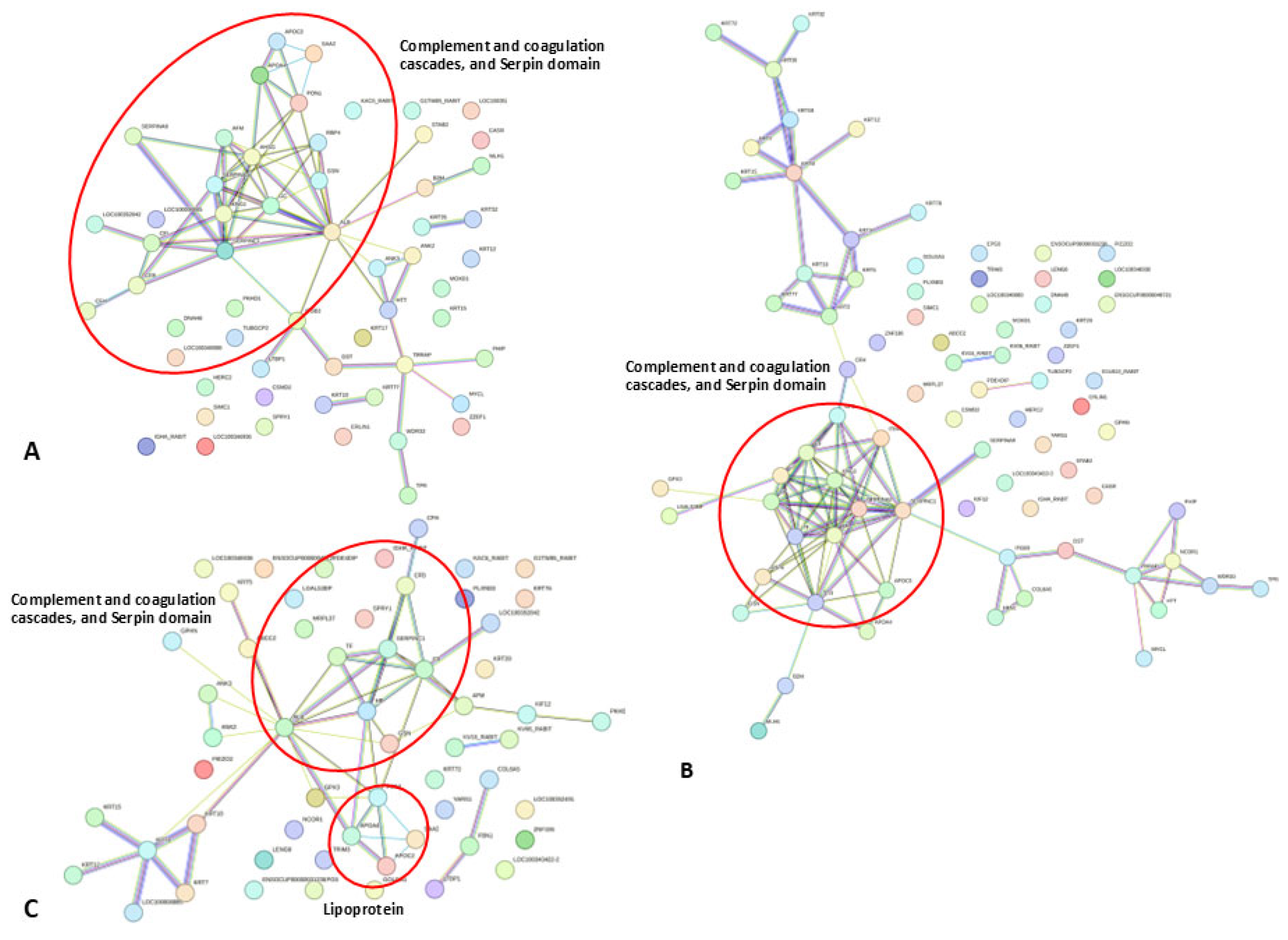 Animals 15 01962 g004