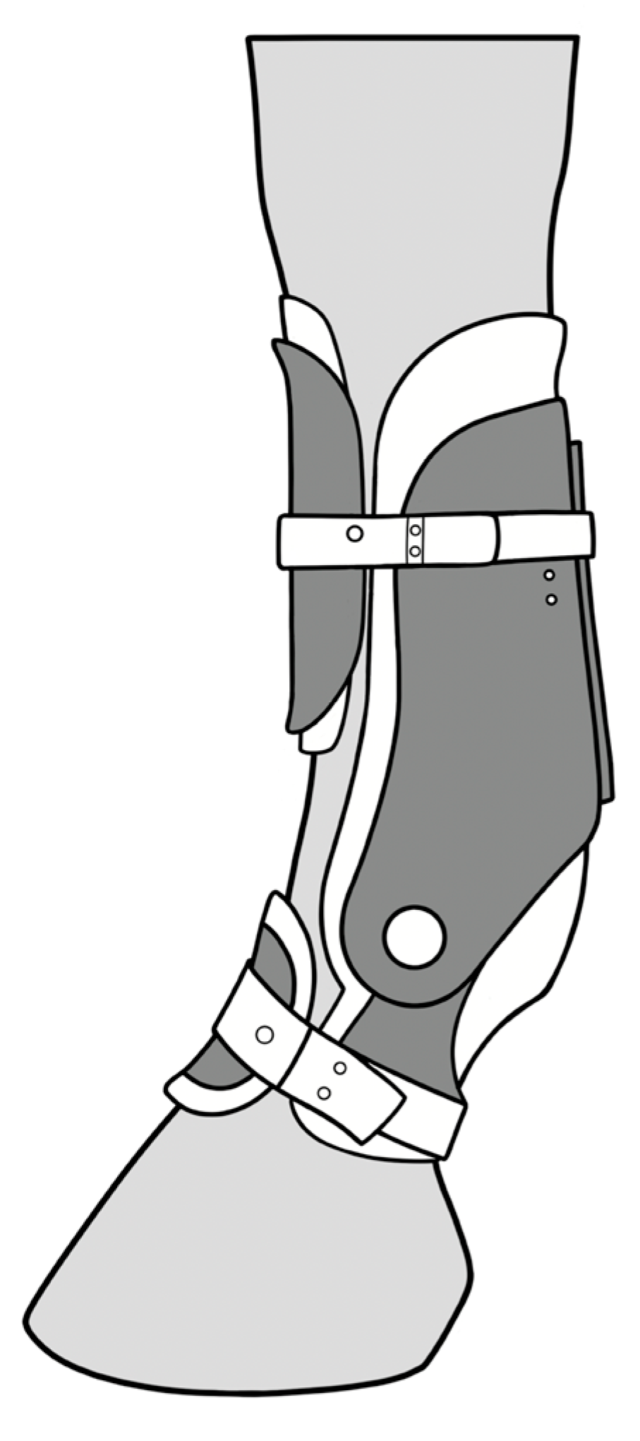 Animals 15 01965 g001