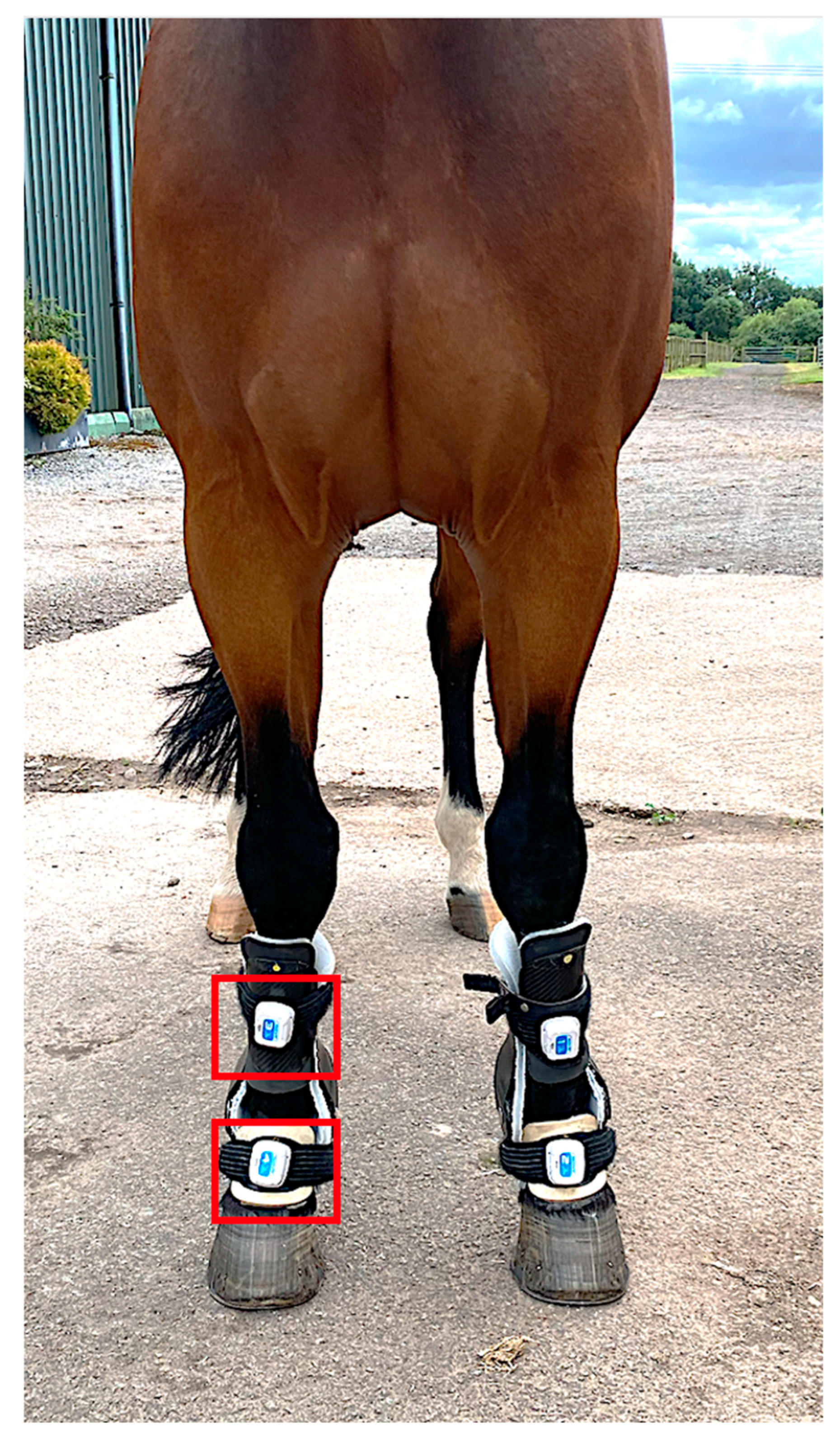 Animals 15 01965 g003