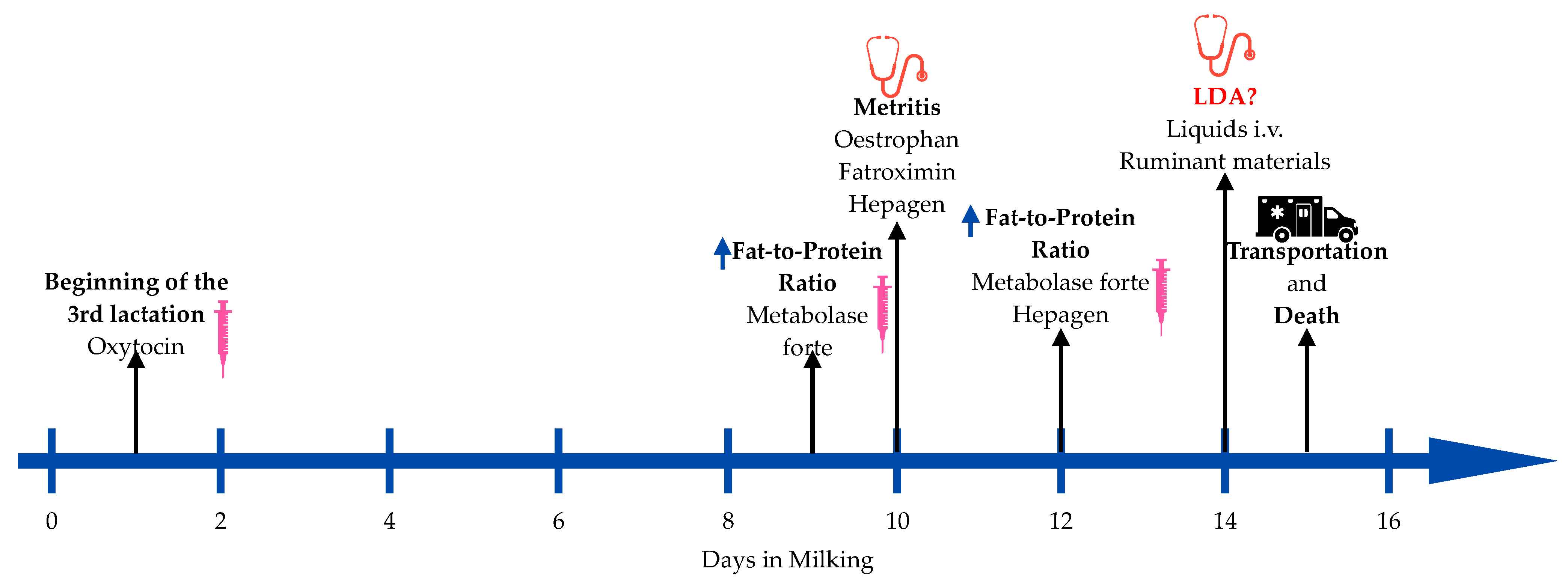 Animals 15 01969 g001