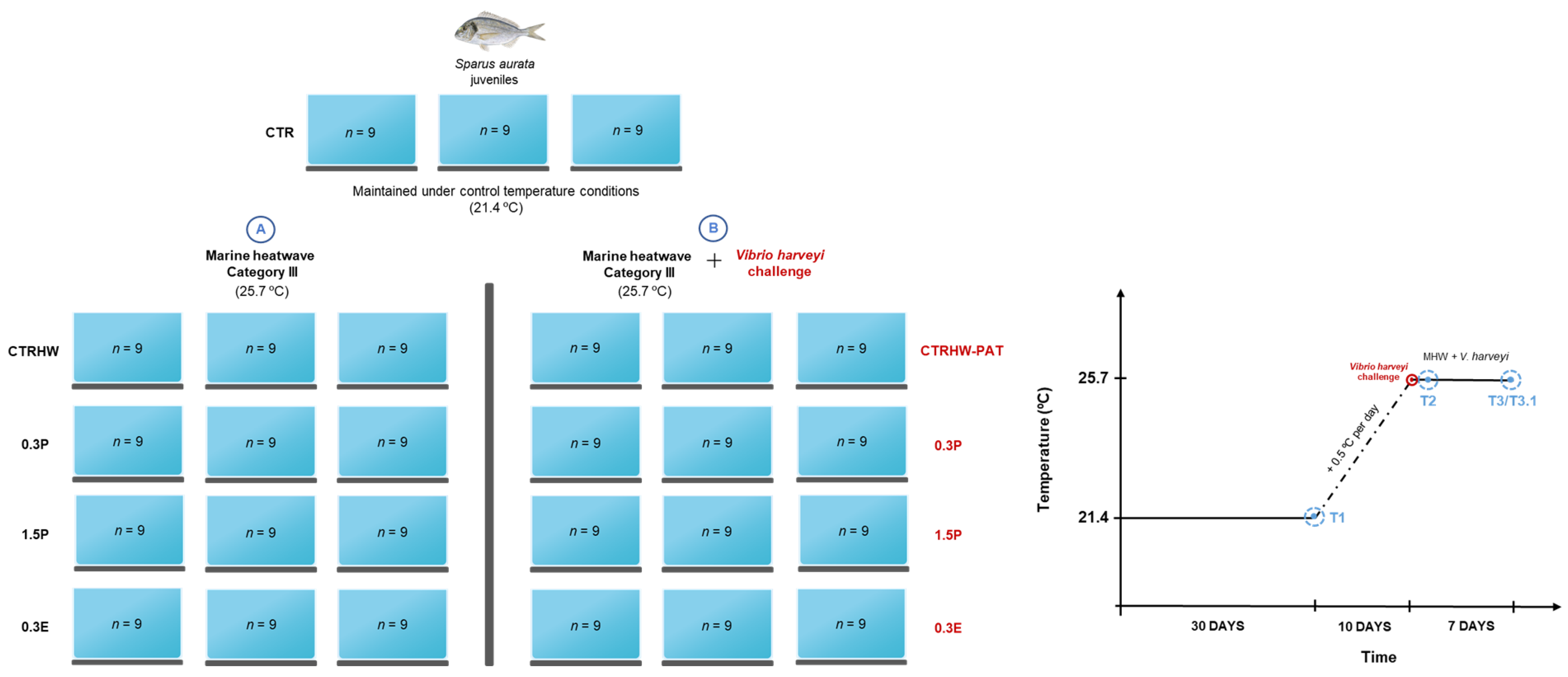 Animals 15 01970 g0a1