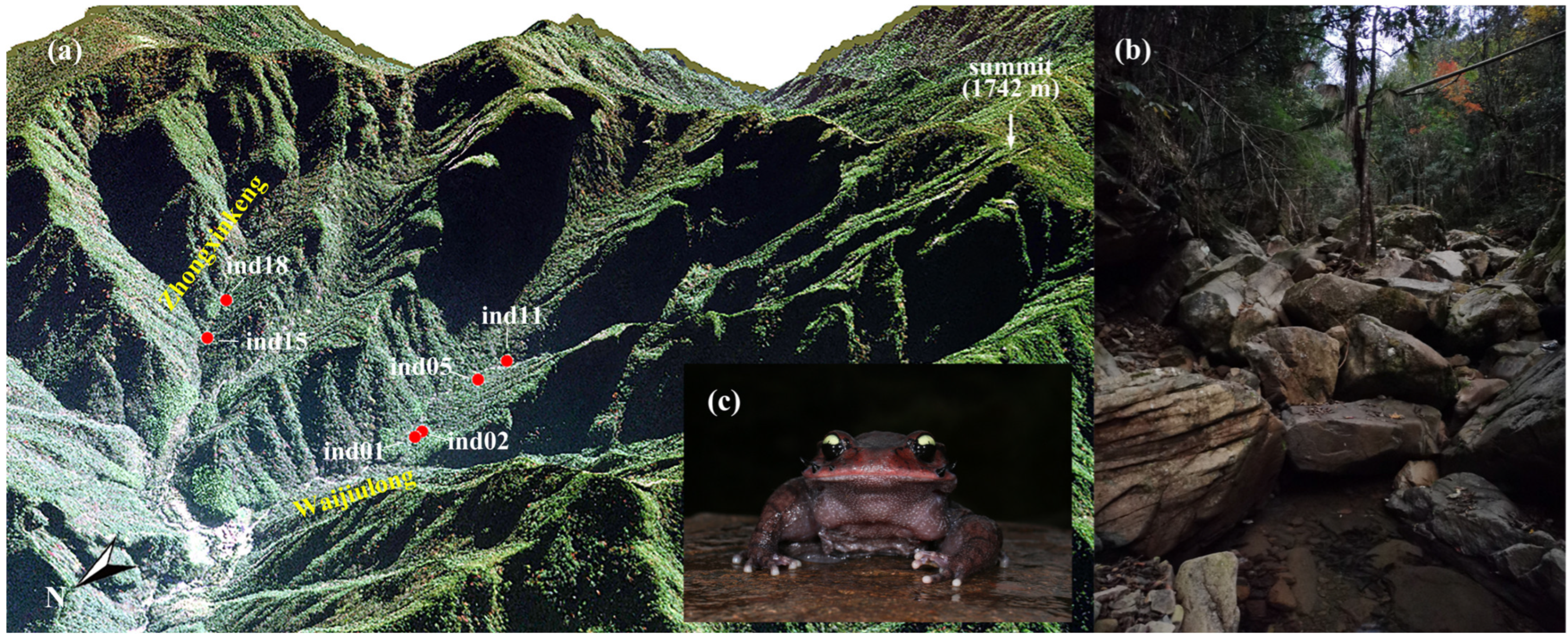 Animals 15 01973 g001