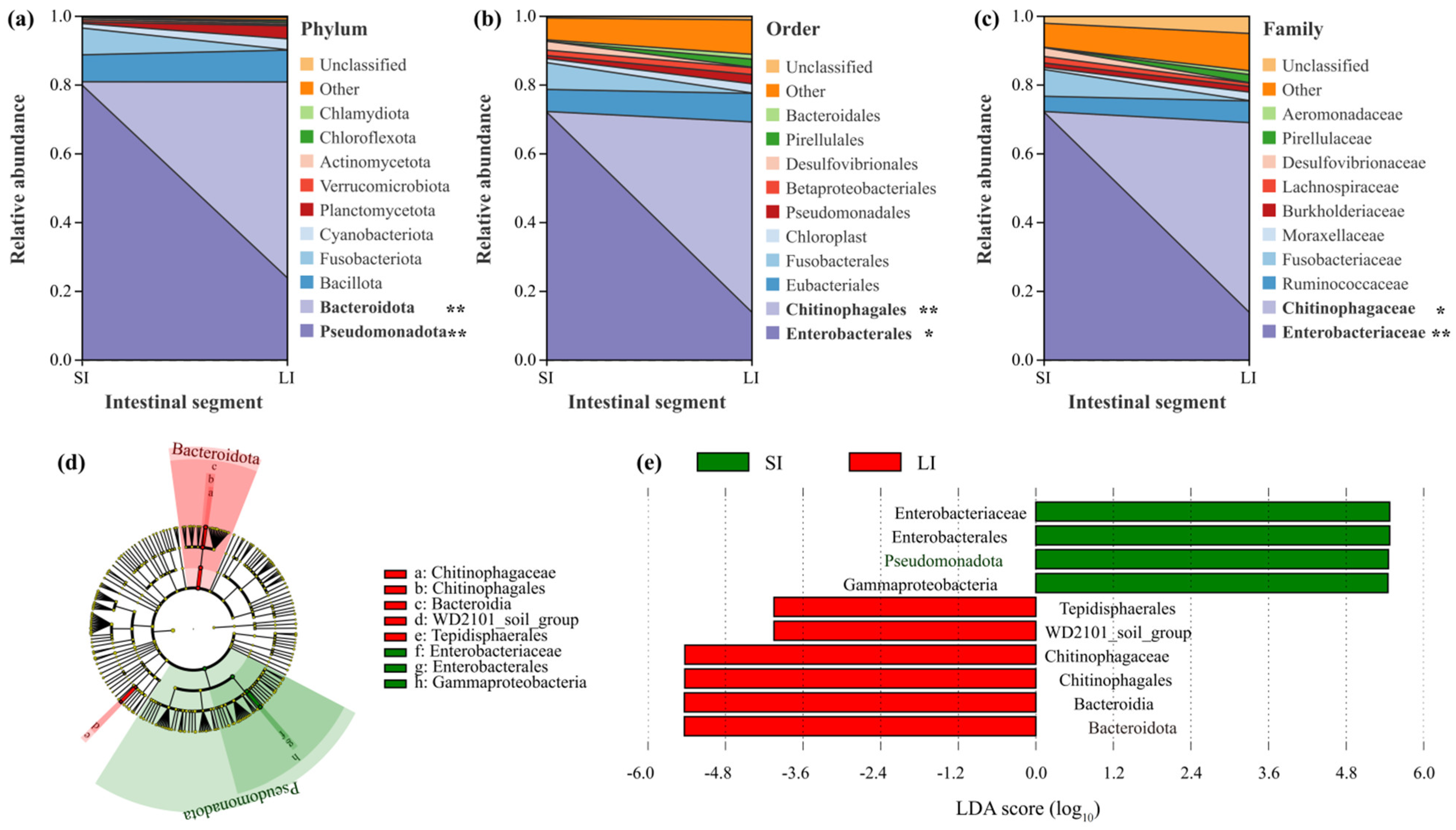 Animals 15 01973 g002