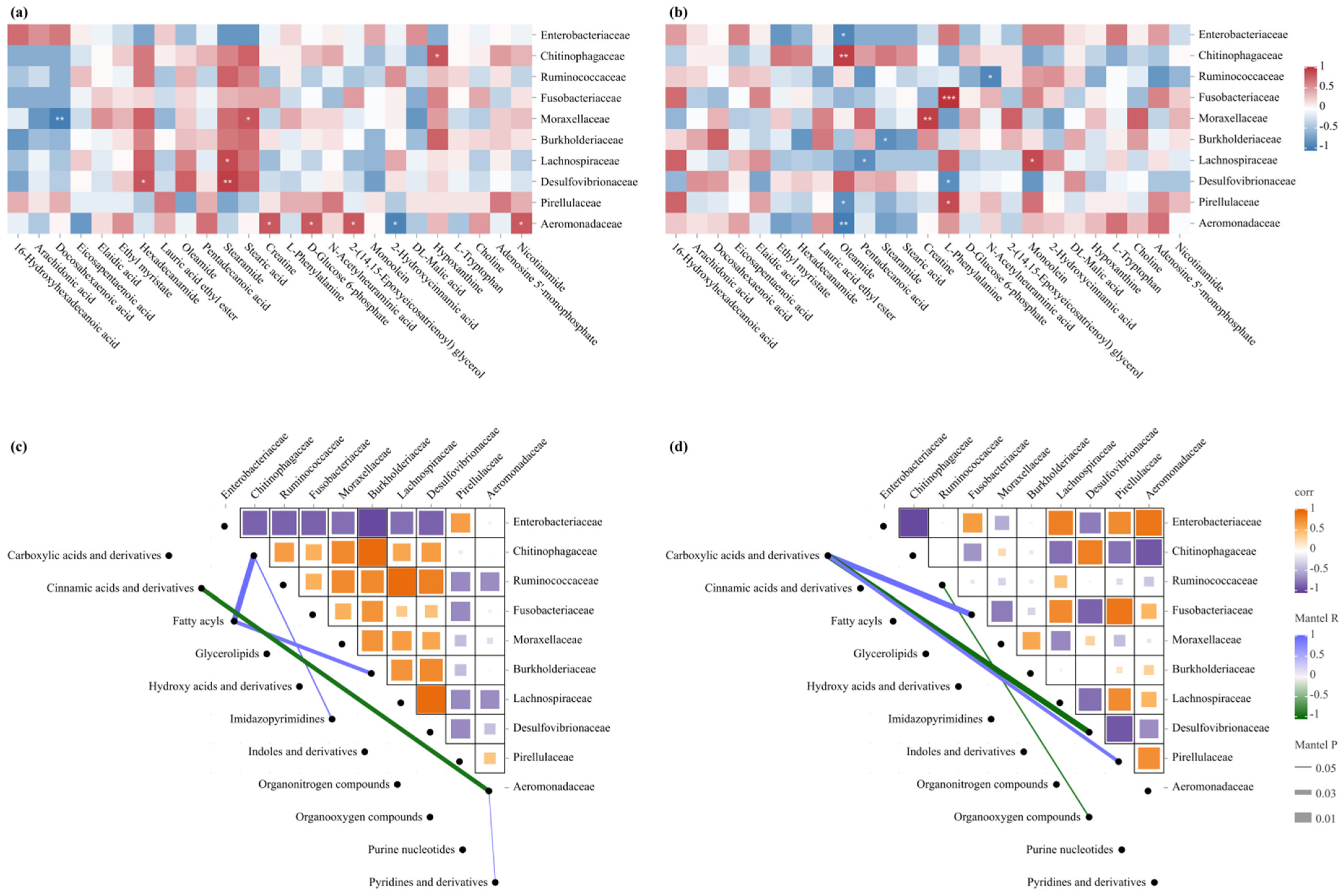 Animals 15 01973 g005
