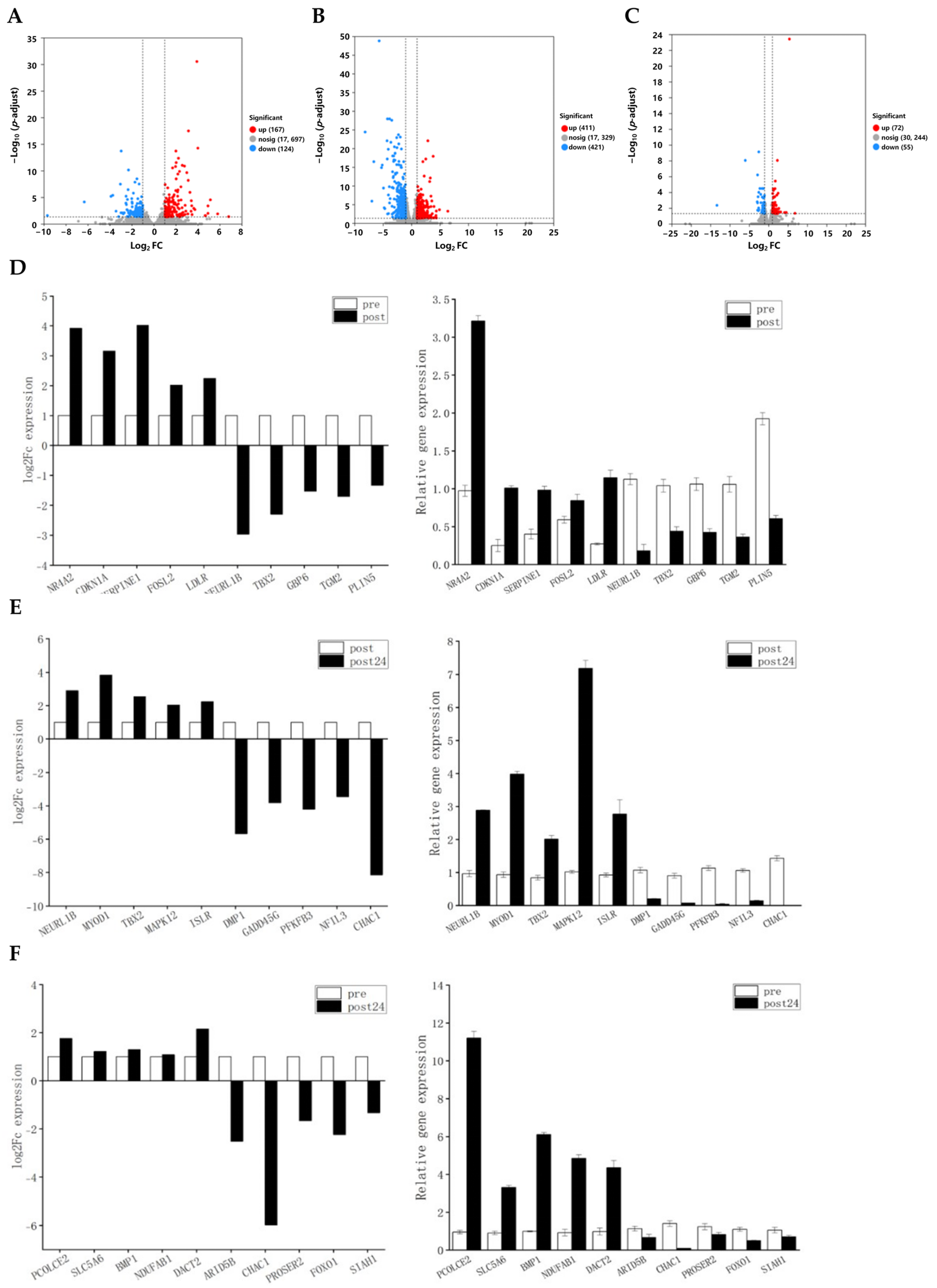 Animals 15 01981 g002