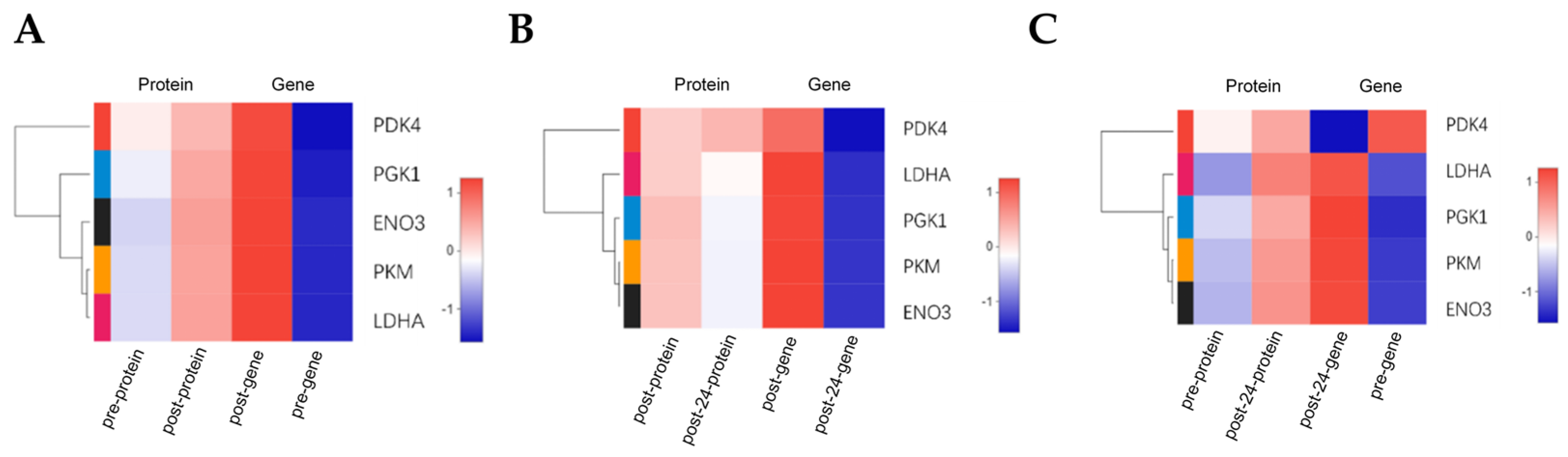Animals 15 01981 g009